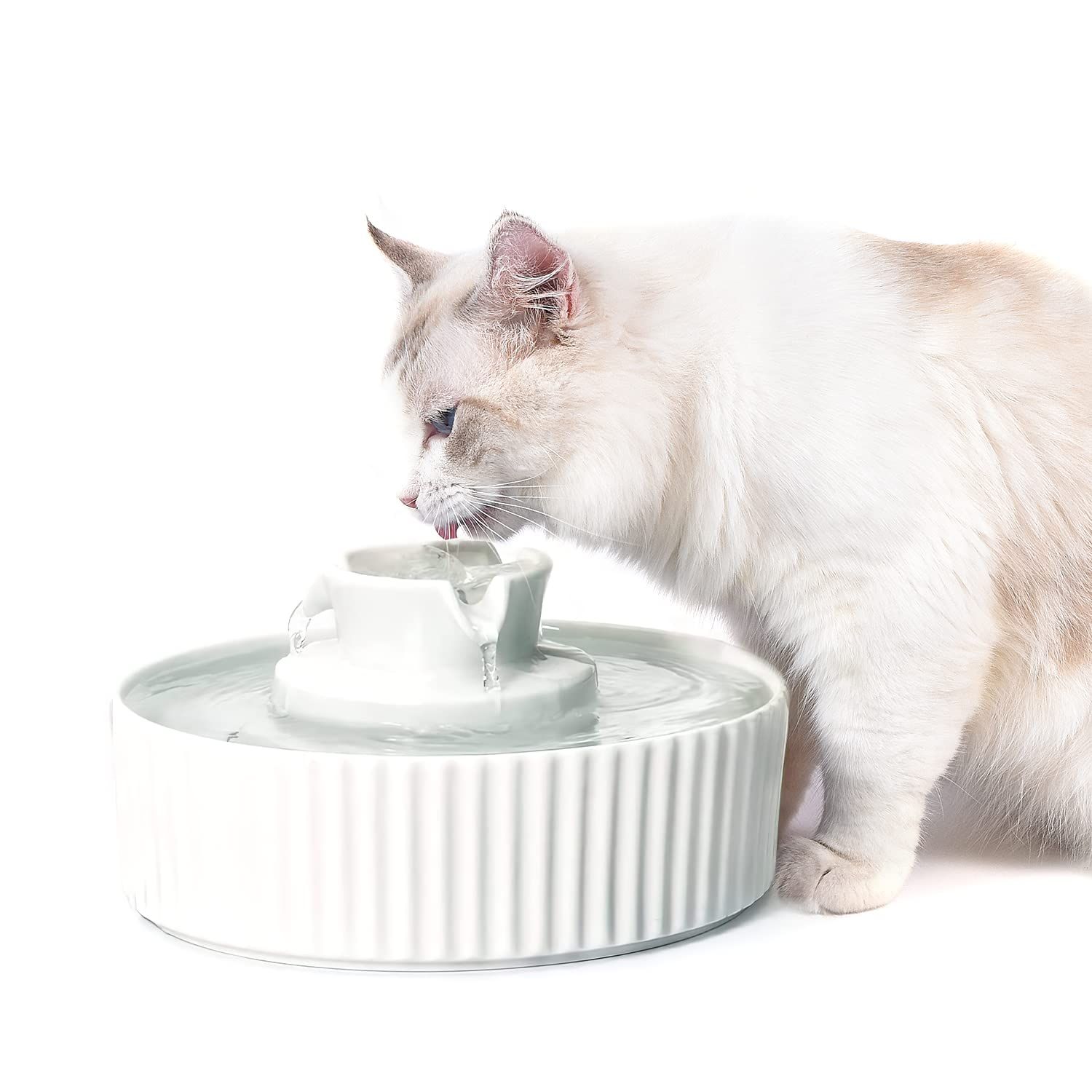 Ceramic Cat Water Fountain