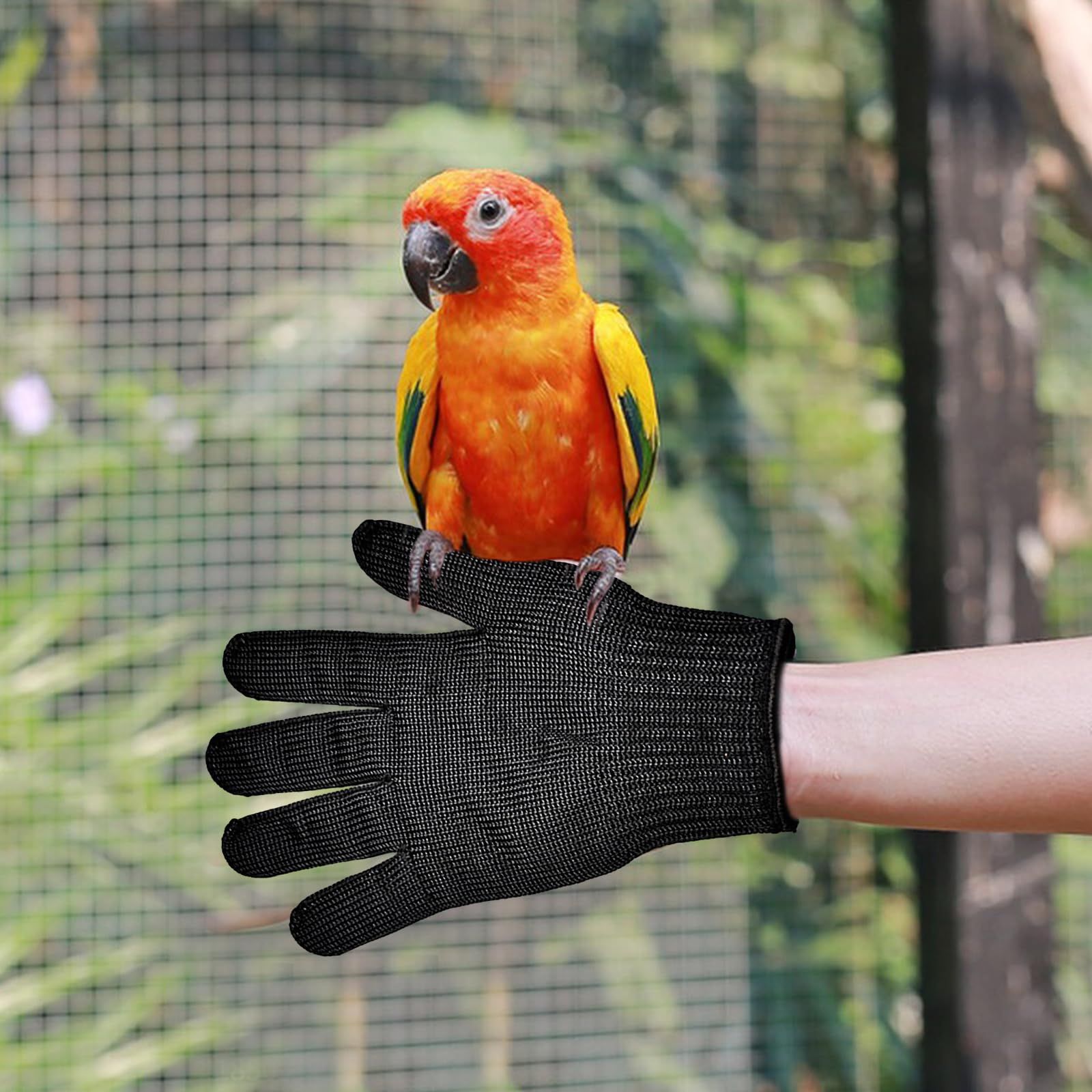 Bird Training Anti- Bite Gloves view 2
