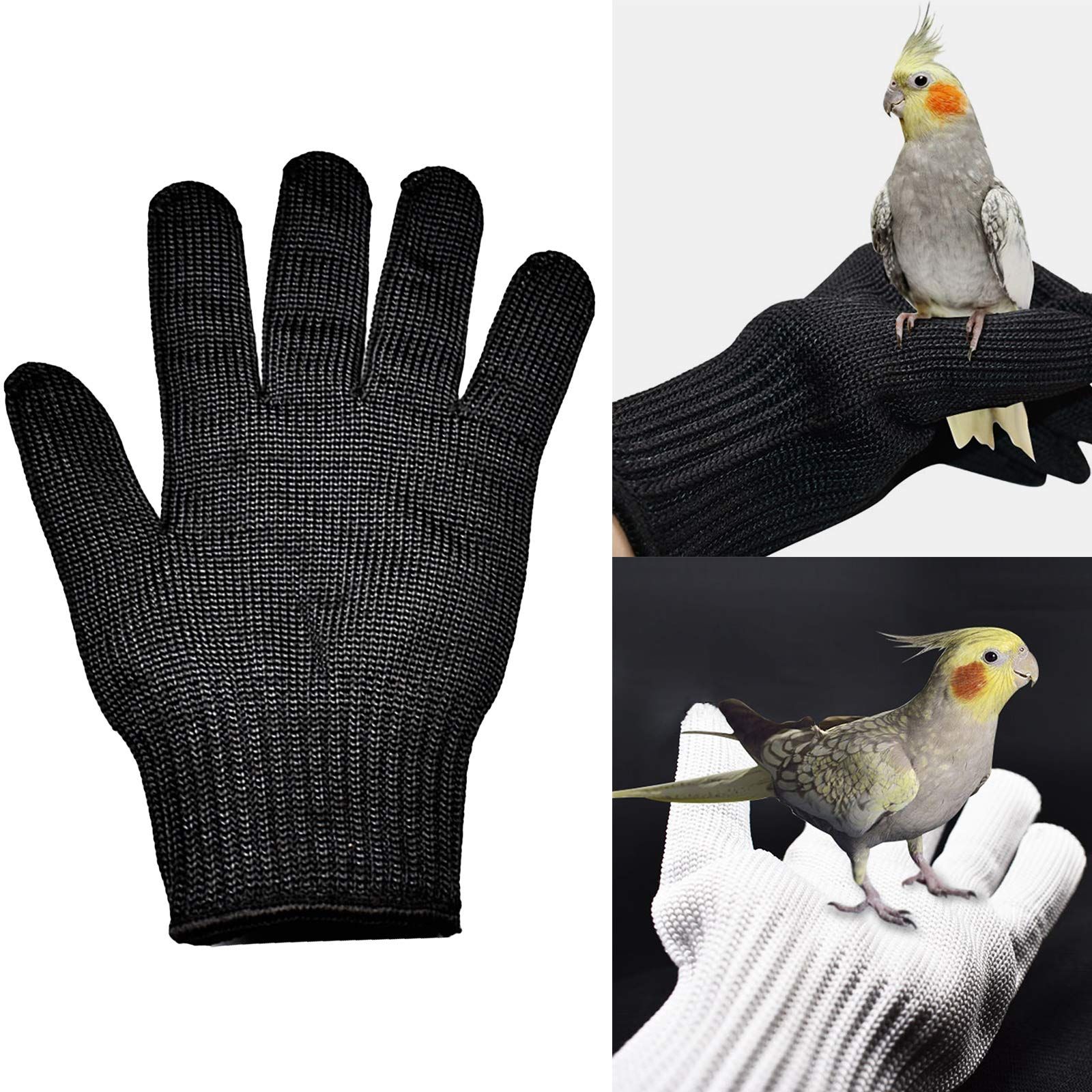 Bird Training Anti- Bite Gloves view 3