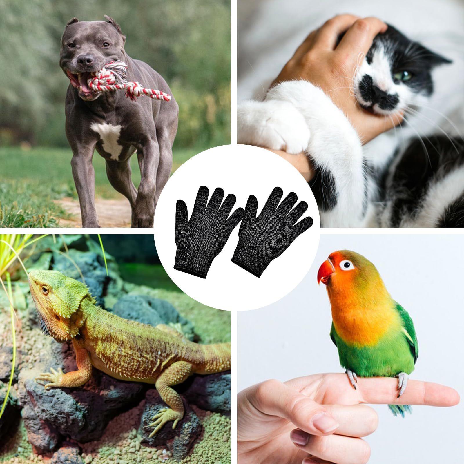 Bird Training Anti- Bite Gloves view 4