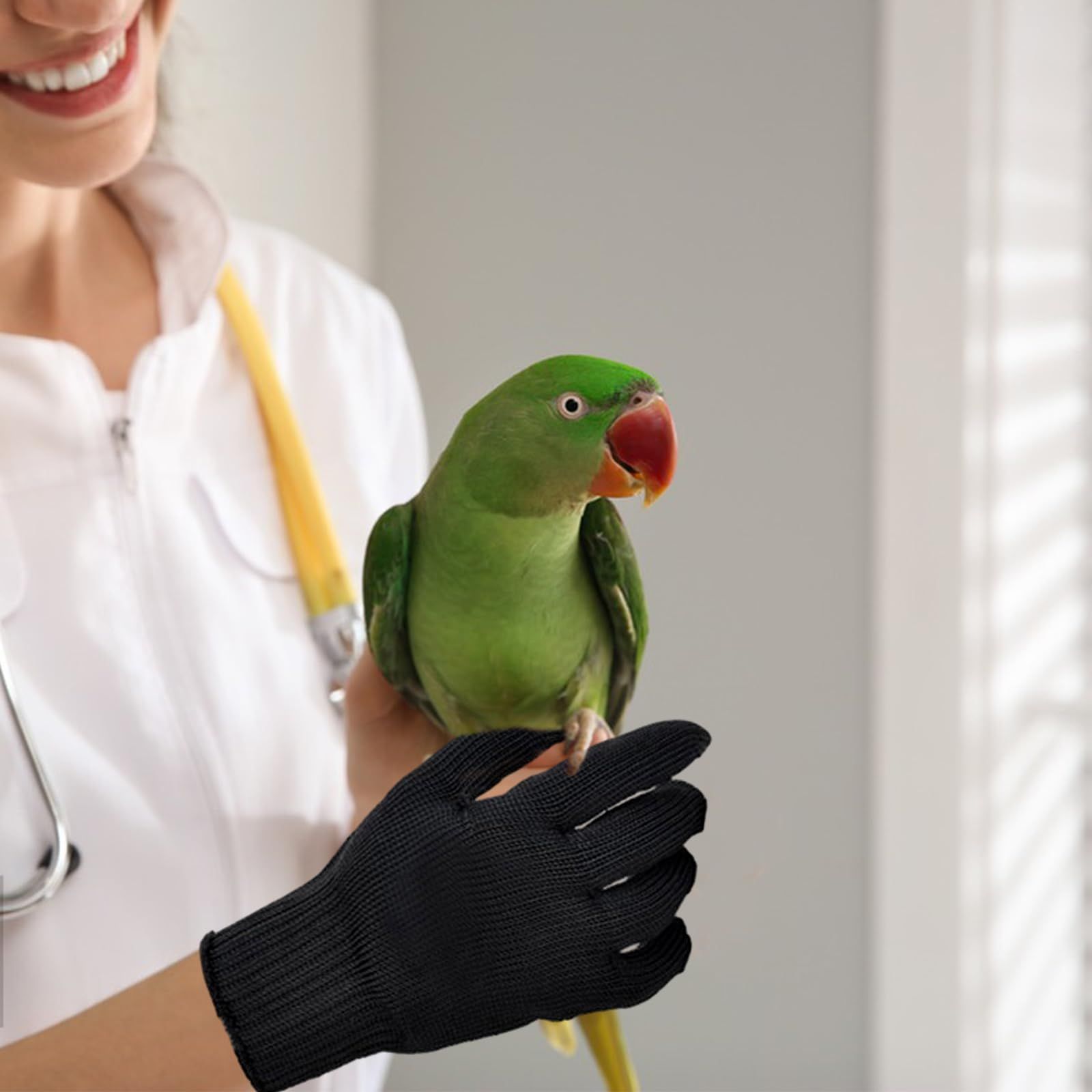 Bird Training Anti- Bite Gloves view 5