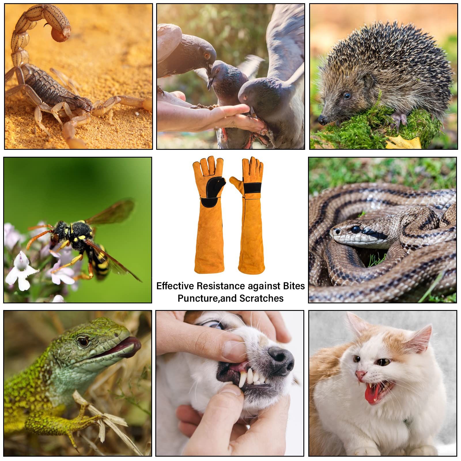 Animal Handling Gloves,Cat Bite Proof Gloves,Multipurpose Pet Bite Proof Glove view 4