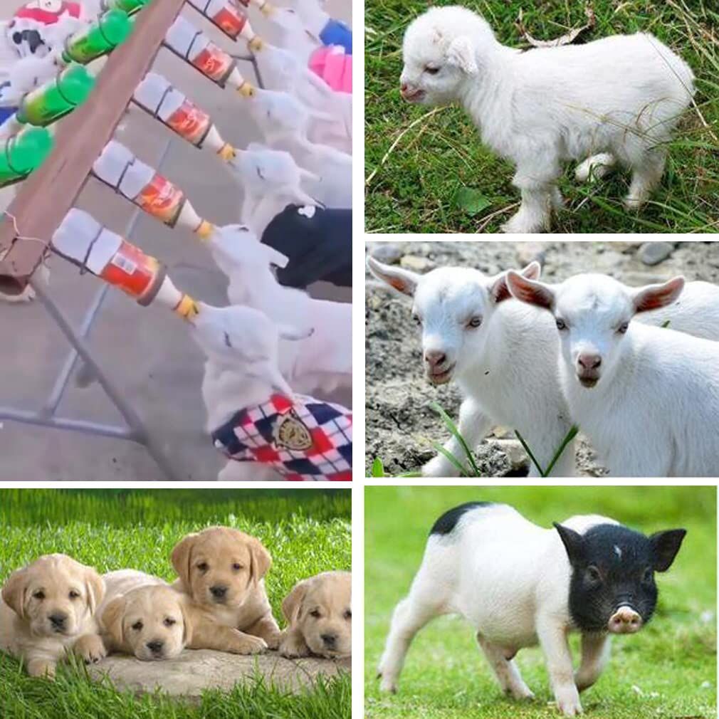 2-Pack Nipple for Goats Milk Drink Bottle Nipple Soft Rubber Teat for Small view 5