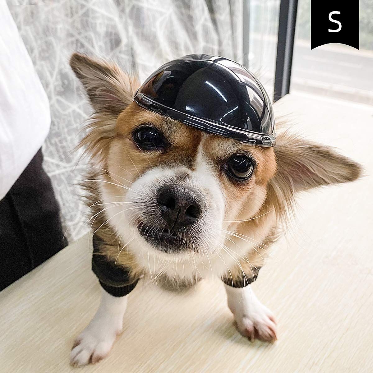 Small Pet Dog Helmet Cat Helmet Motorcycle Pet Hard Hat Outdoor Bike Pet Cap view 3