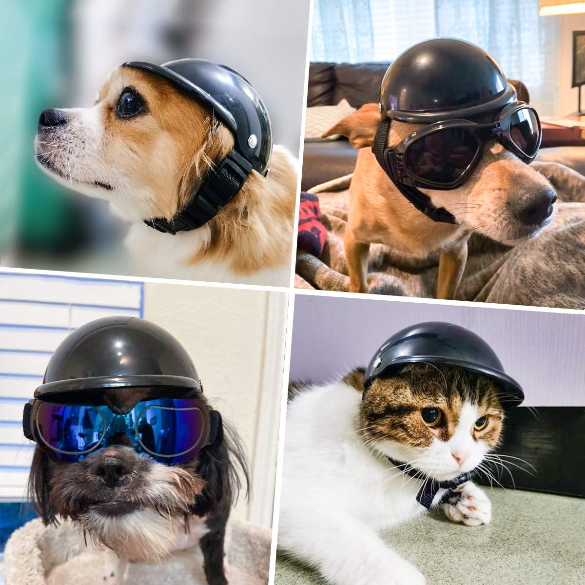 Small Pet Dog Helmet Cat Helmet Motorcycle Pet Hard Hat Outdoor Bike Pet Cap view 5