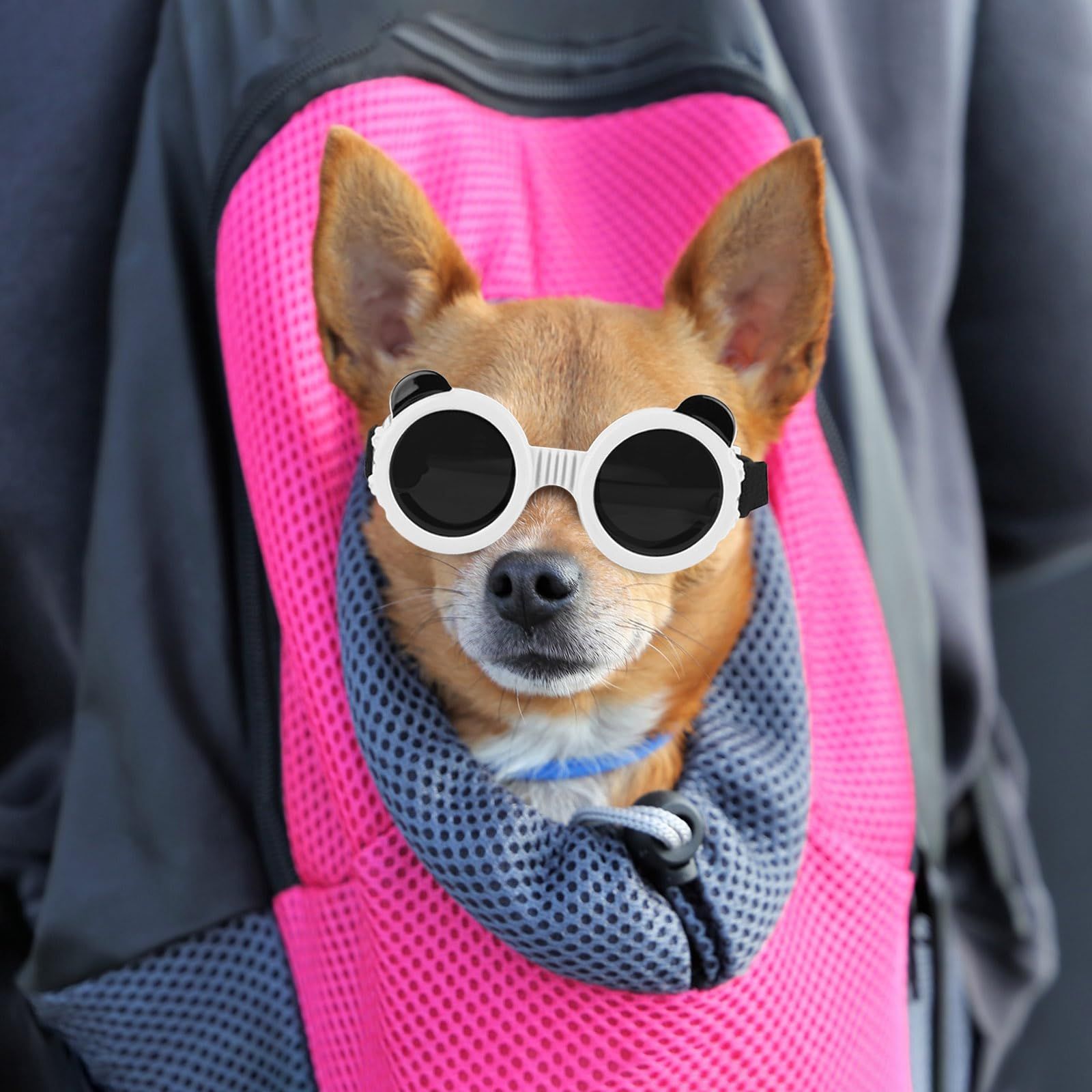 Enjoying Dog Sunglasses Small Breed view 2
