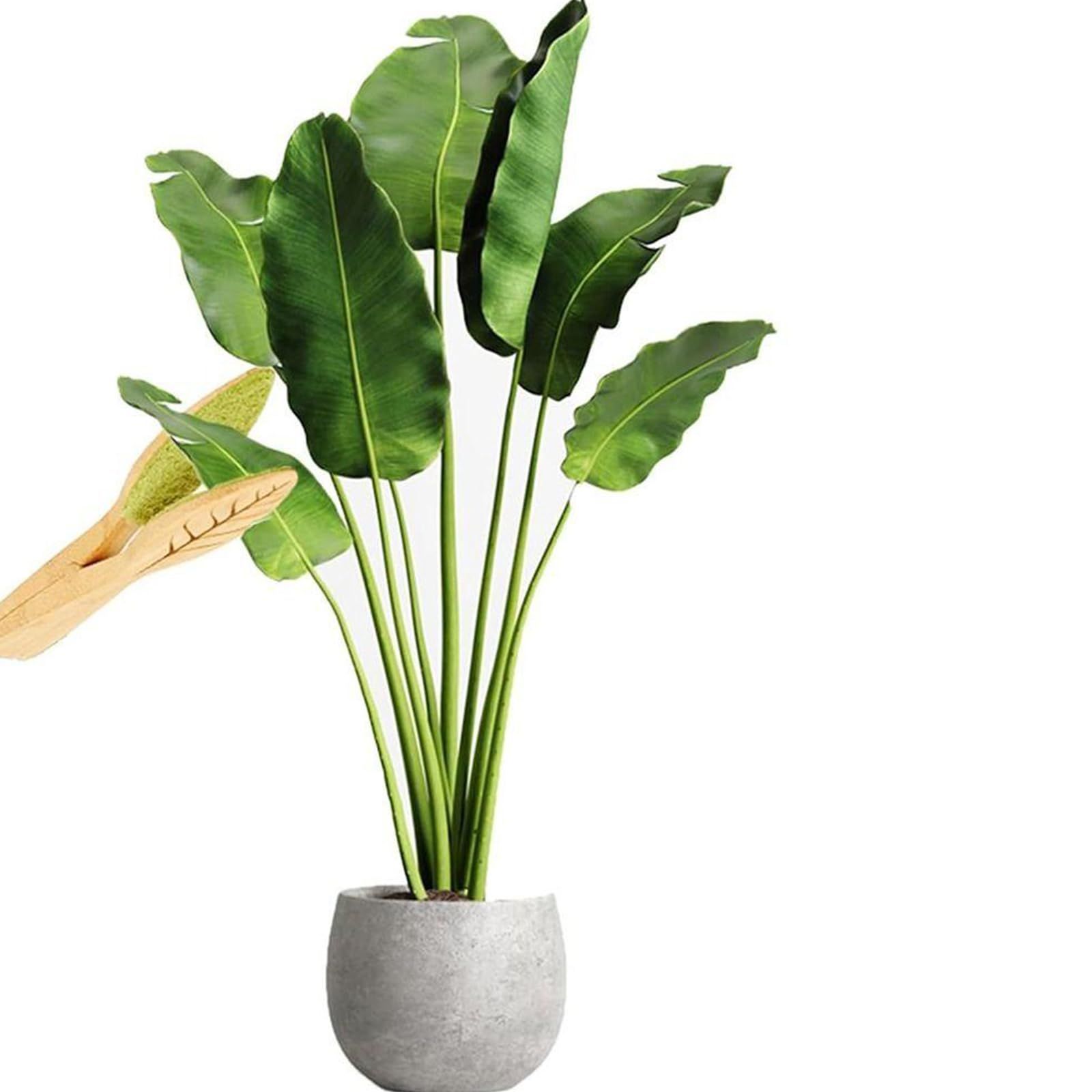 Leaf Cleaning Tongs, House Plant Leaf Cleaning Tongs, Plant leaf Lint cleaner view 3