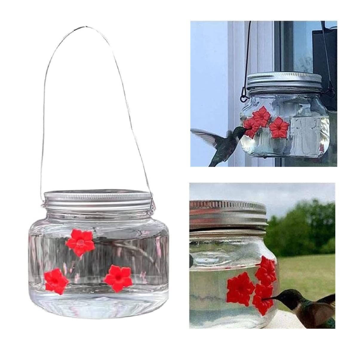 Hummingbird Feeder with 3 Ports