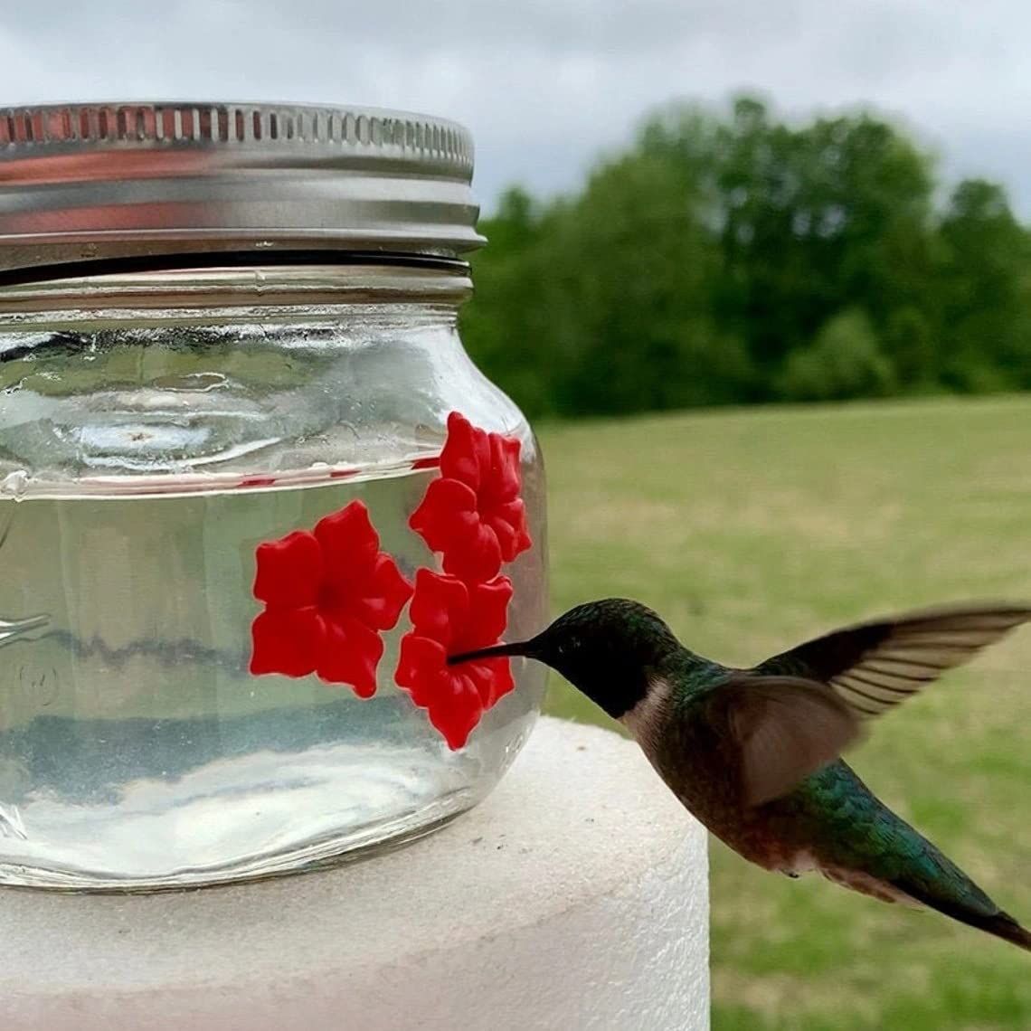 Hummingbird Feeder with 3 Ports view 2