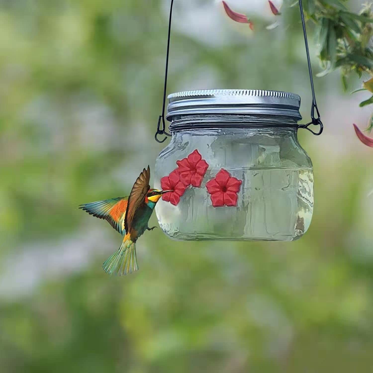 Hummingbird Feeder with 3 Ports view 3