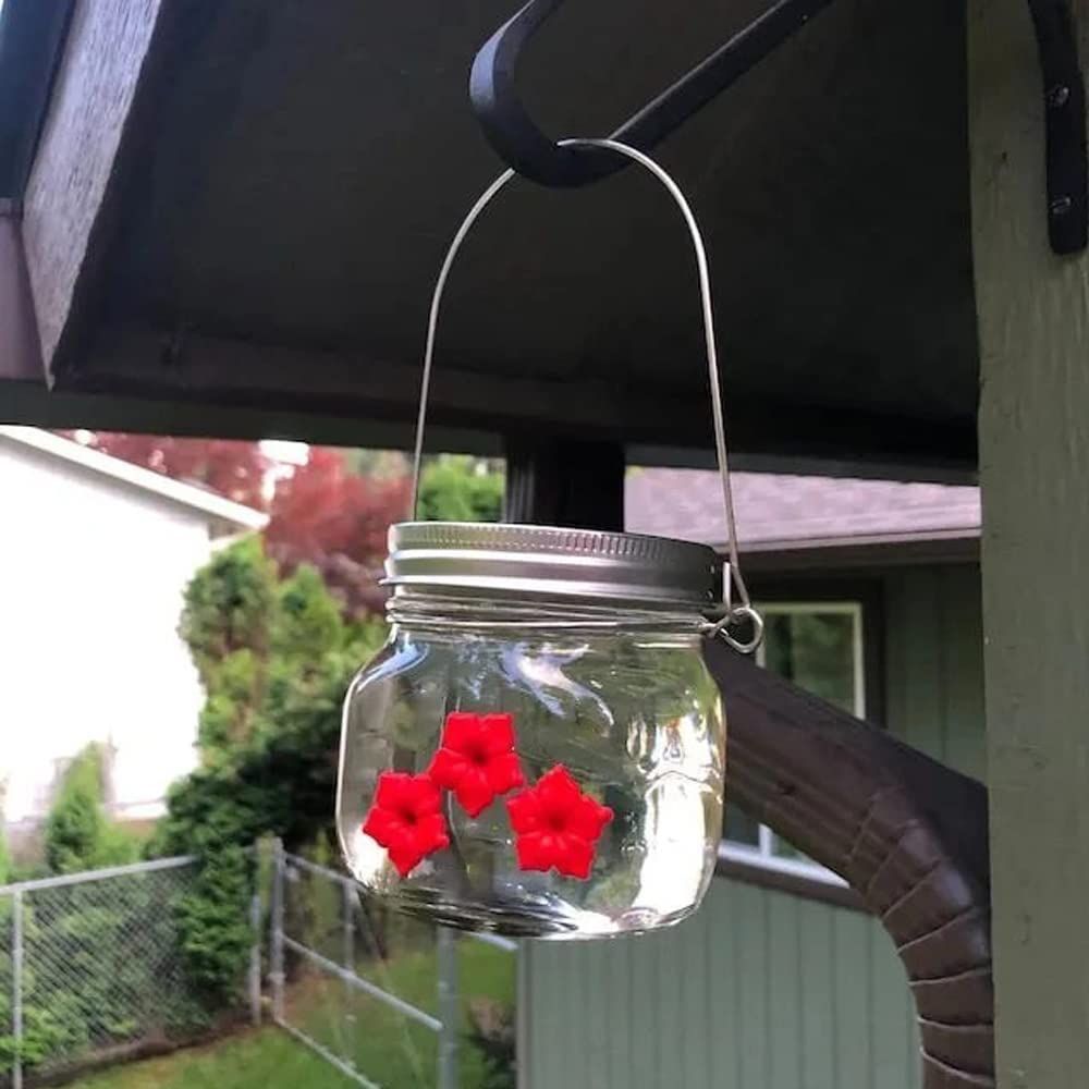 Hummingbird Feeder with 3 Ports view 4