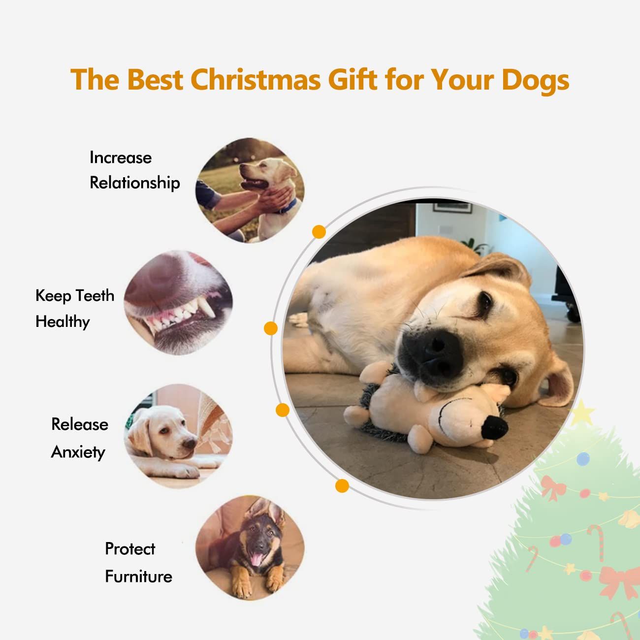 Dog Squeaky Toys, Durable Stuffed Crinkle Plush Dog Chew Toys for Puppy view 4