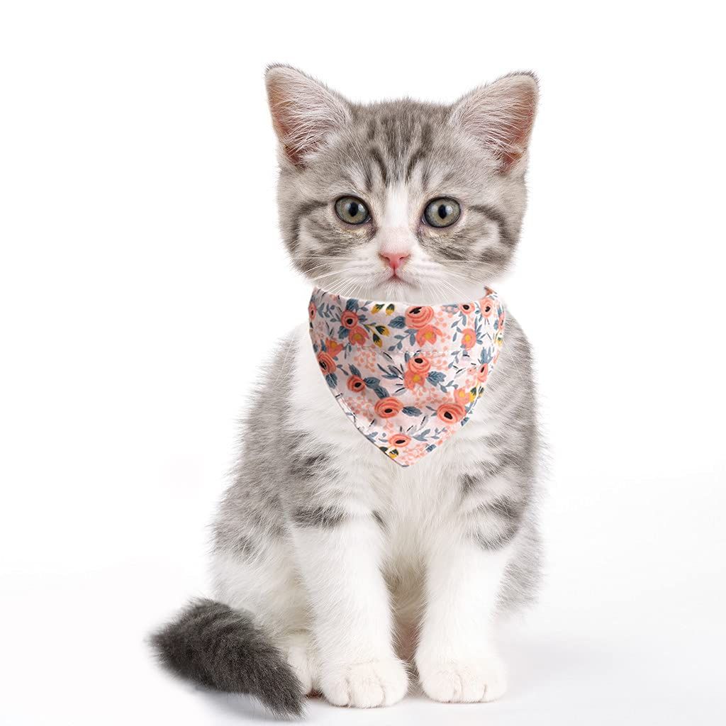 2 Pcs Sets Cat Collar Bandana Bells Set view 5