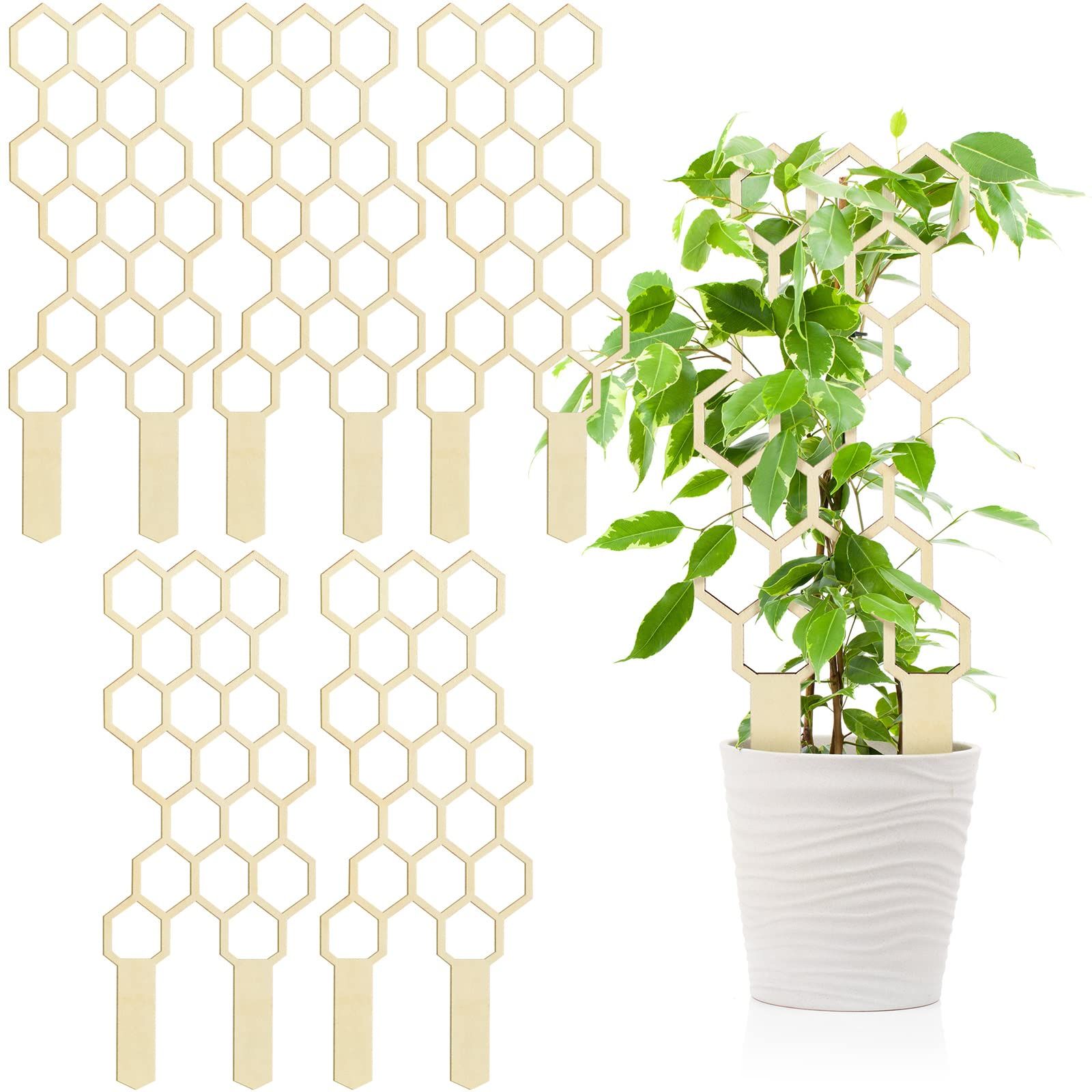 Small Wooden Trellis for Potted Climbing Plants 11.8 Inches Trellis Starter