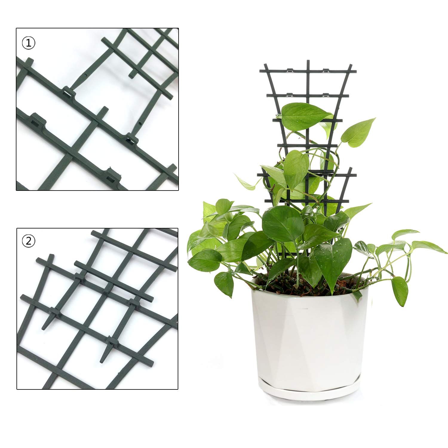 Plant Trellis Indoor, 6Pcs Stackable Plant Trellis for Climbing Plants Indoor view 3
