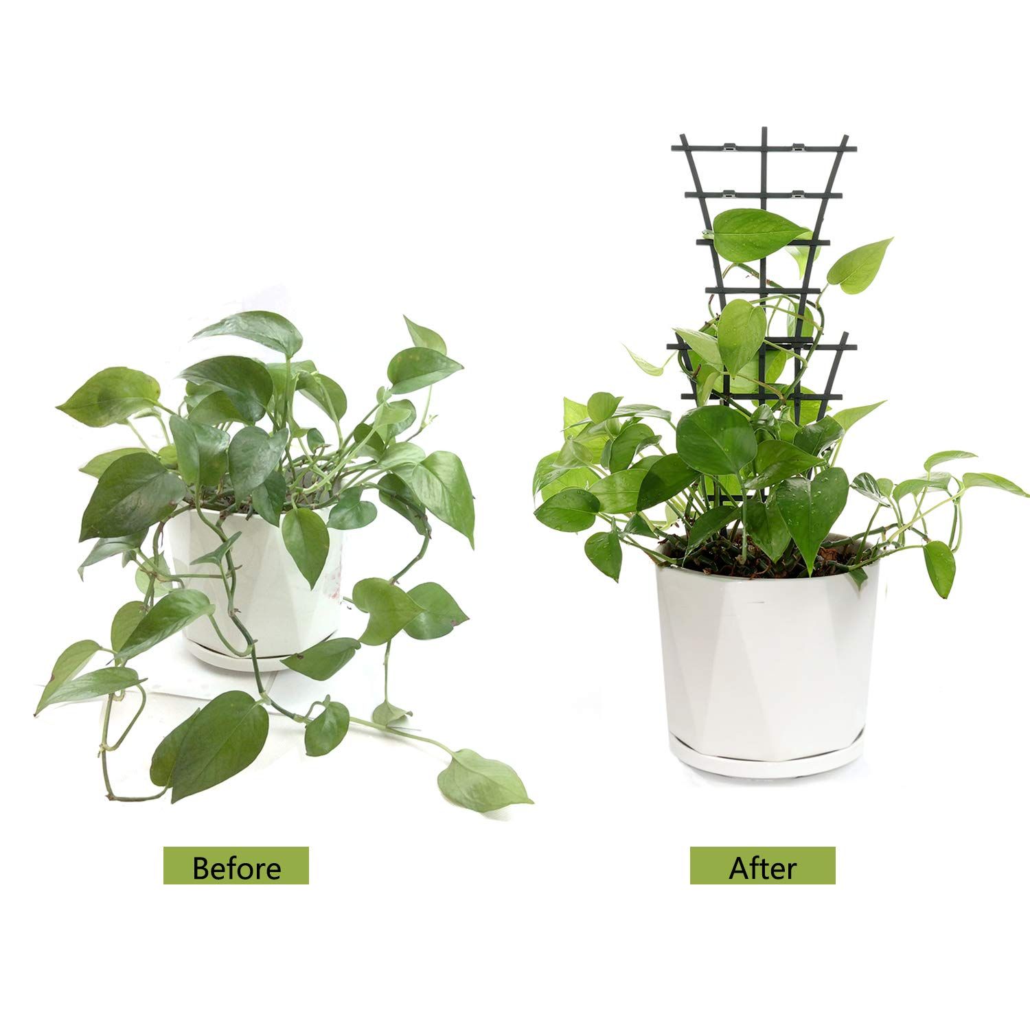 Plant Trellis Indoor, 6Pcs Stackable Plant Trellis for Climbing Plants Indoor view 4