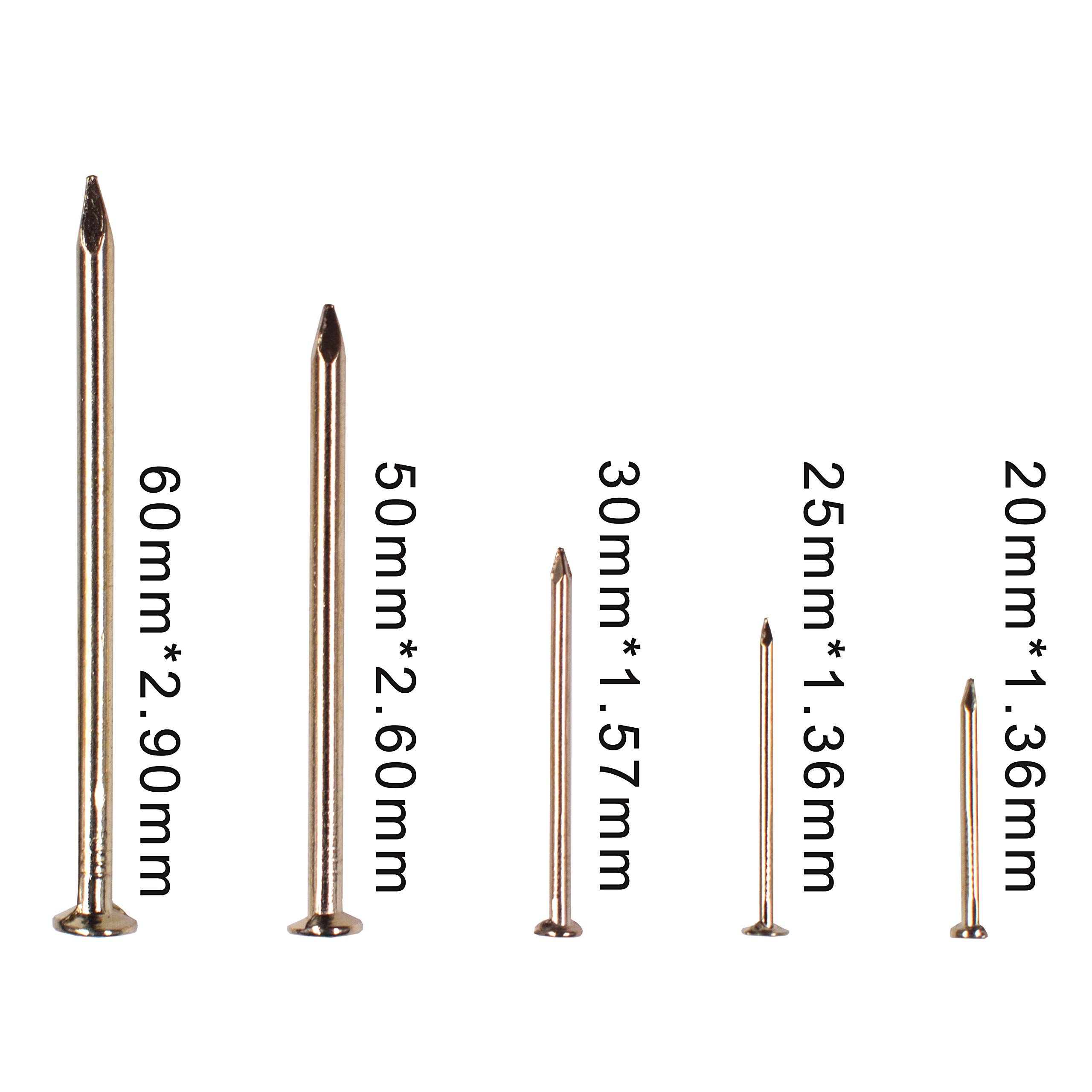 Brass Plated Nail Assortment Kit (300pcs) view 2