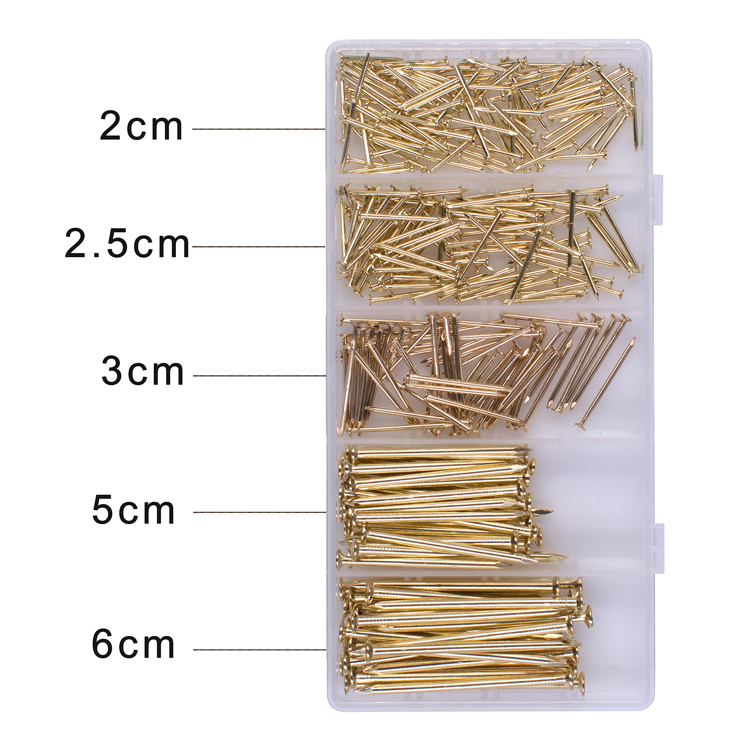 Brass Plated Nail Assortment Kit (300pcs) view 3