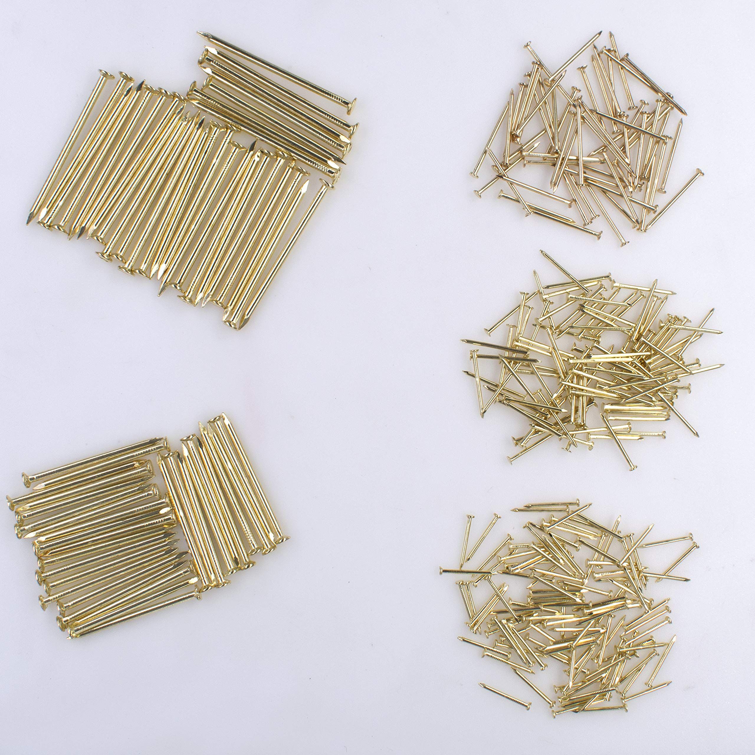 Brass Plated Nail Assortment Kit (300pcs) view 4