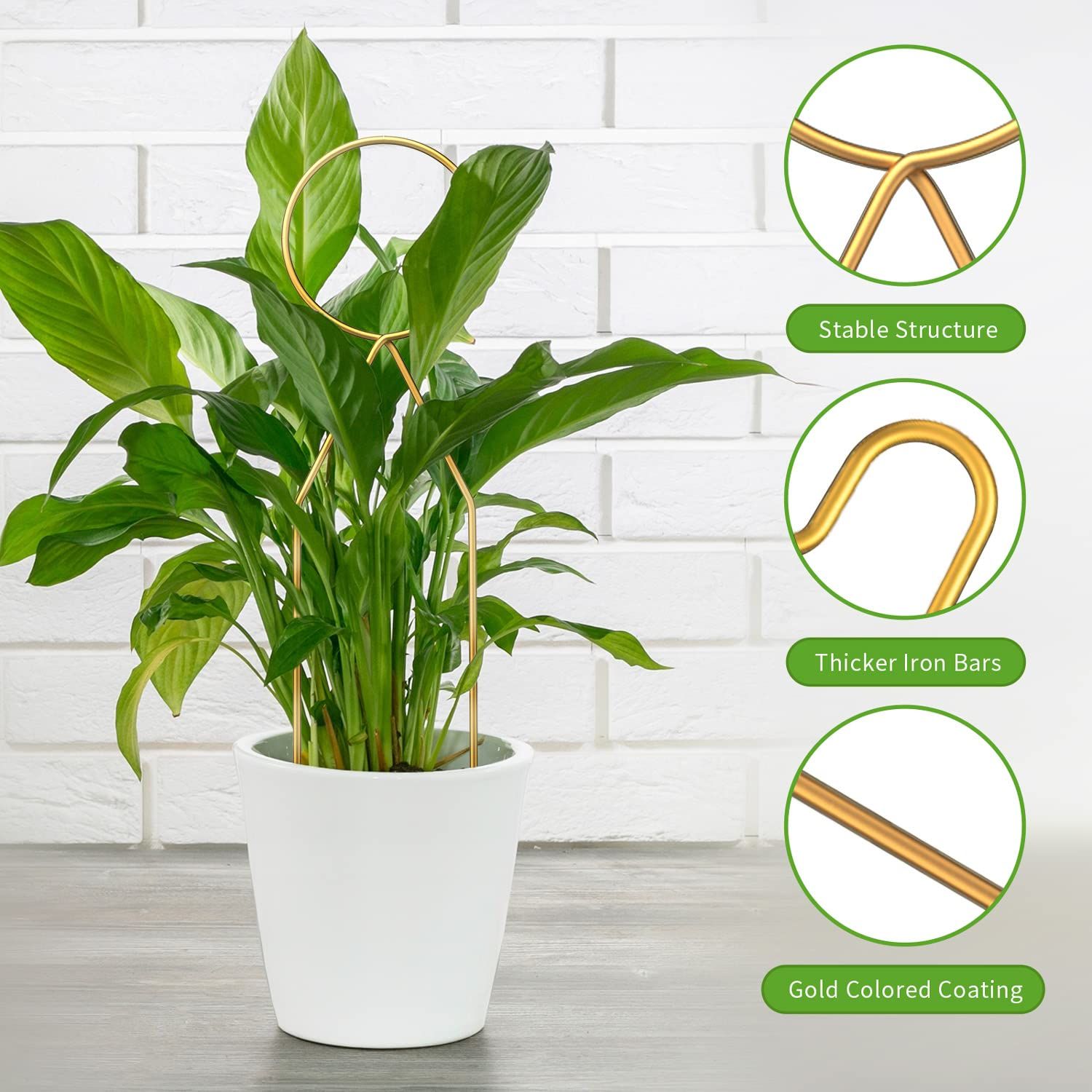 4 Pcs Small Metal Trellis for Potted Plants view 3