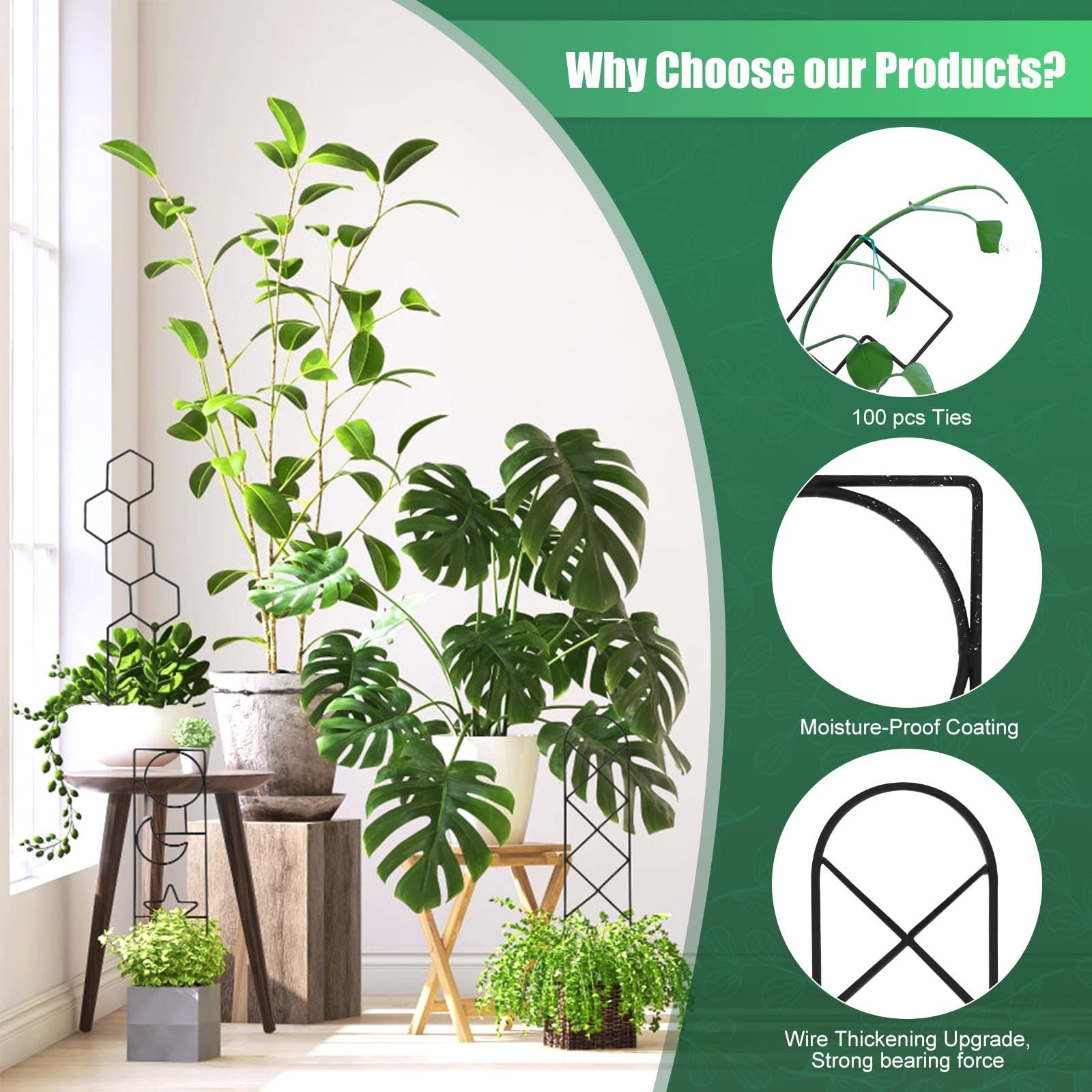 Plant Trellis for Climbing Plants Indoor view 2