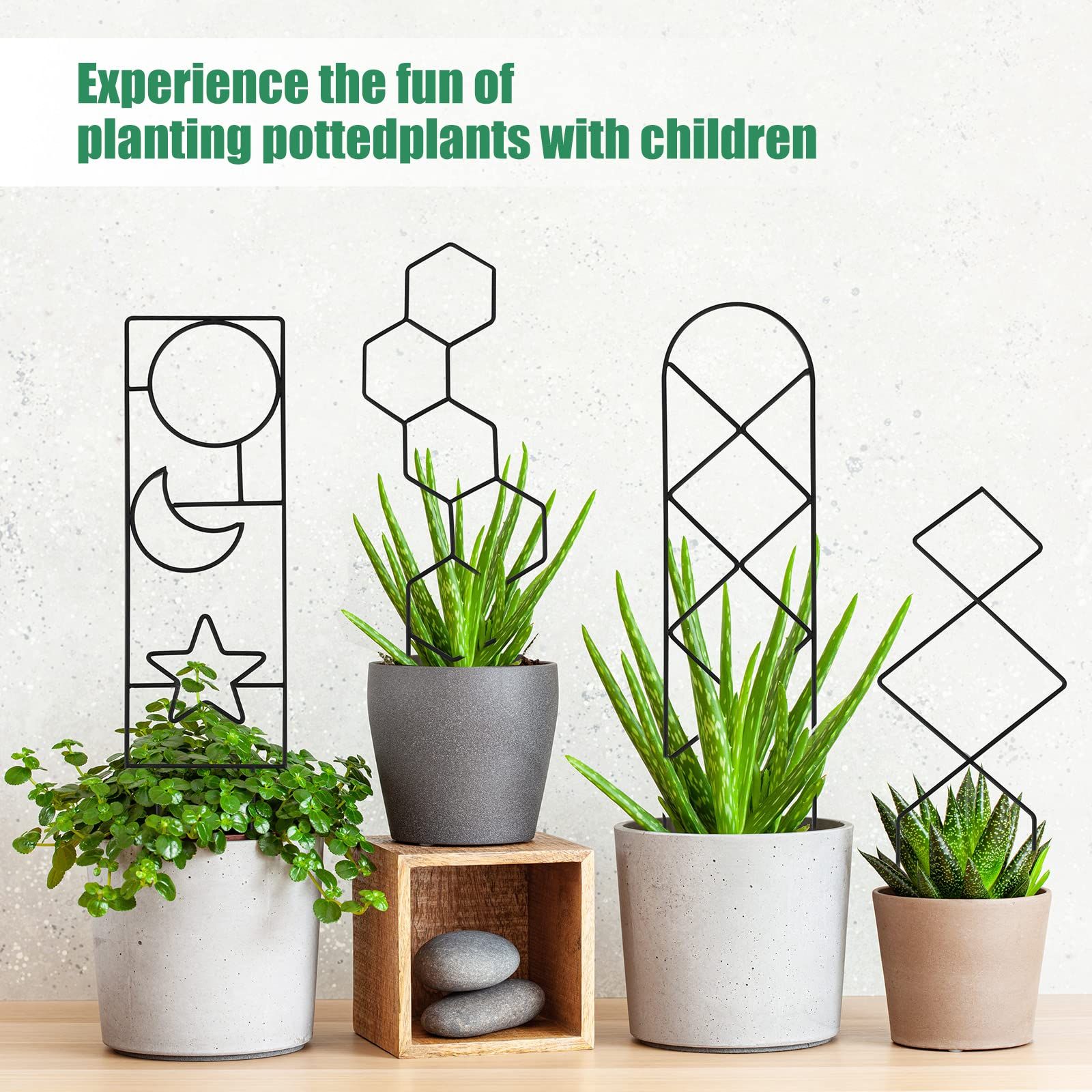 Plant Trellis for Climbing Plants Indoor view 4