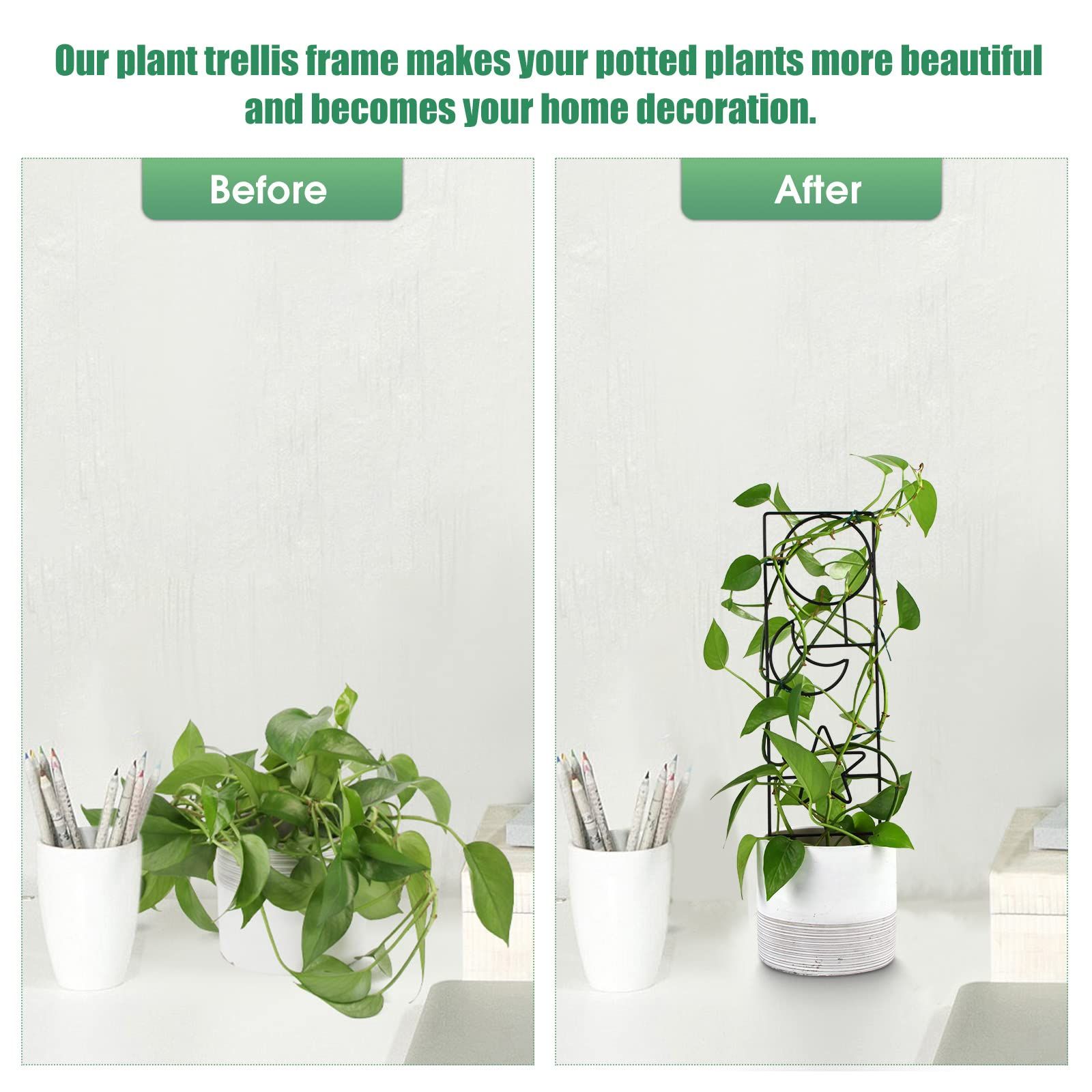 Plant Trellis for Climbing Plants Indoor view 5