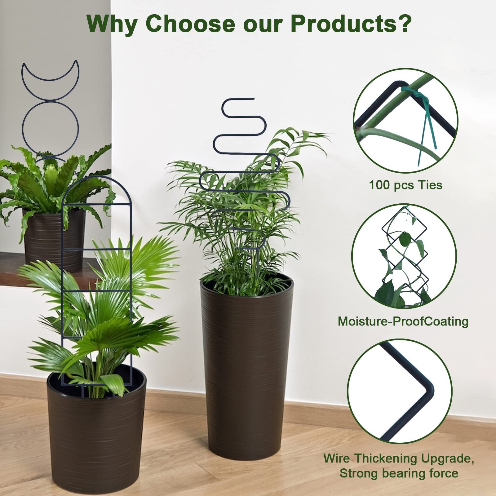 Indoor Plant Trellis for Climbing Plants view 2