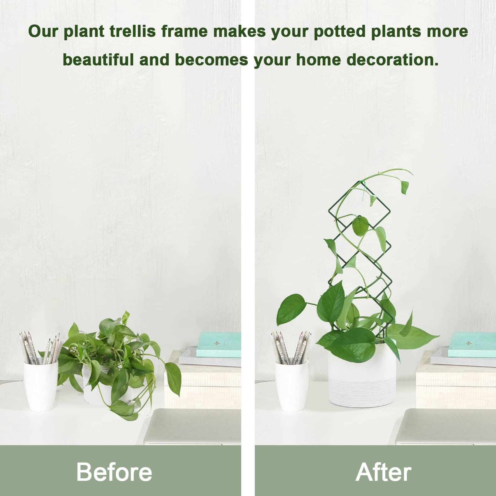 Indoor Plant Trellis for Climbing Plants view 3