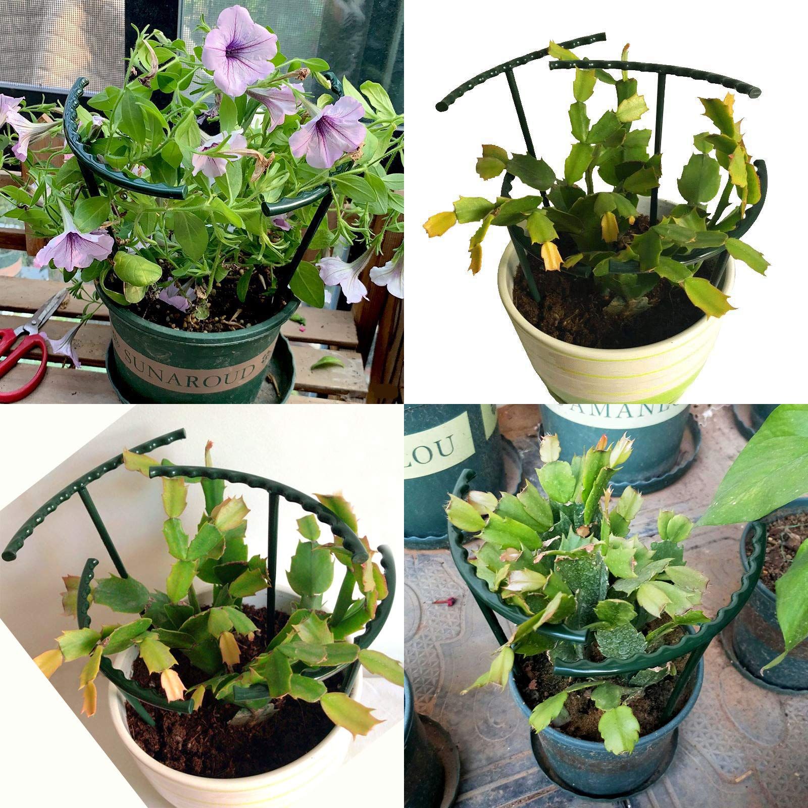 12Pcs Plant Support Plant Stake Half Round Plant Support Ring Garden Flower view 5