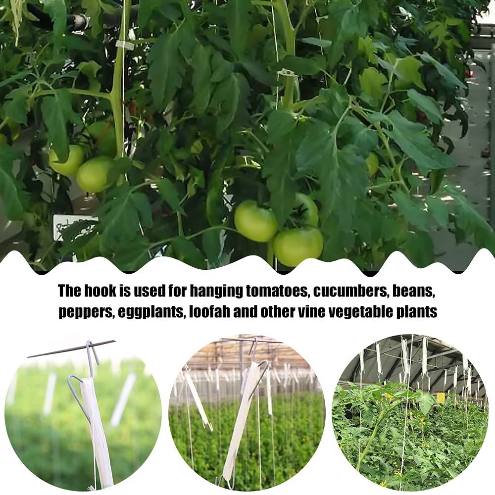 10 Pcs Tomato Support Hooks Plant Climbing Hooks Garden Hooks for Garden view 3