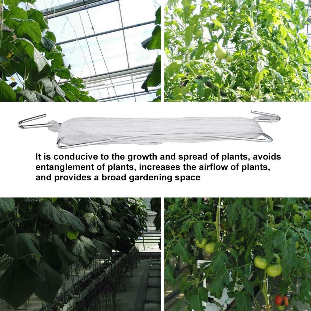 10 Pcs Tomato Support Hooks Plant Climbing Hooks Garden Hooks for Garden view 5