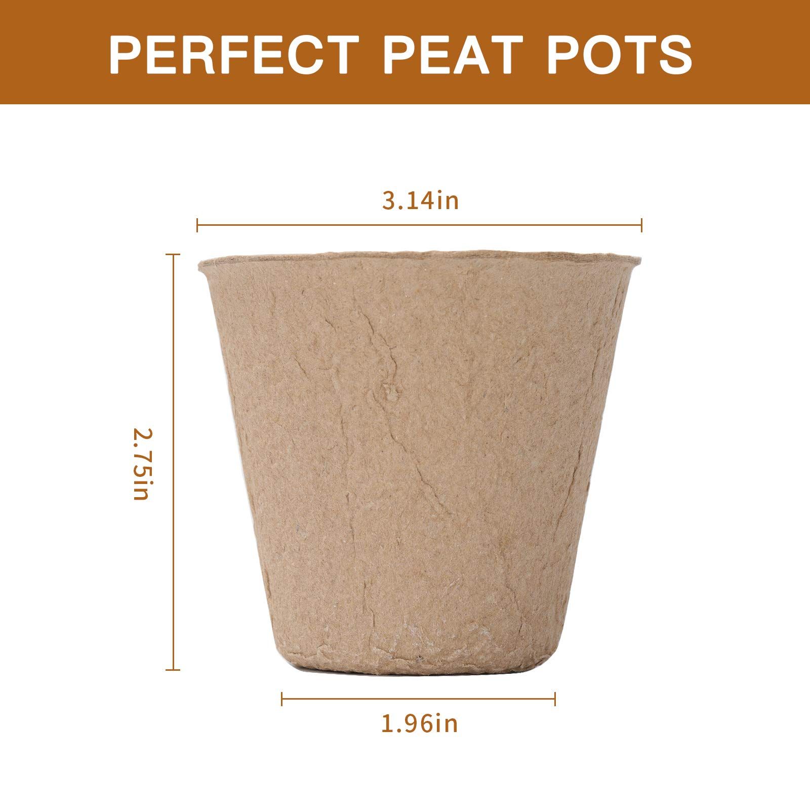 Peat Plant Pots for Plantings view 2