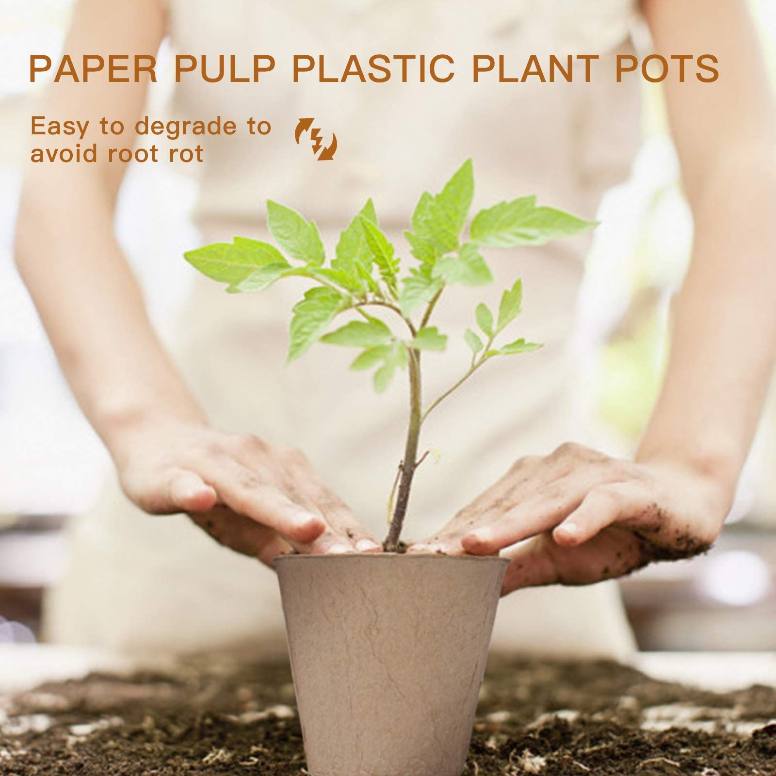 Peat Plant Pots for Plantings view 4