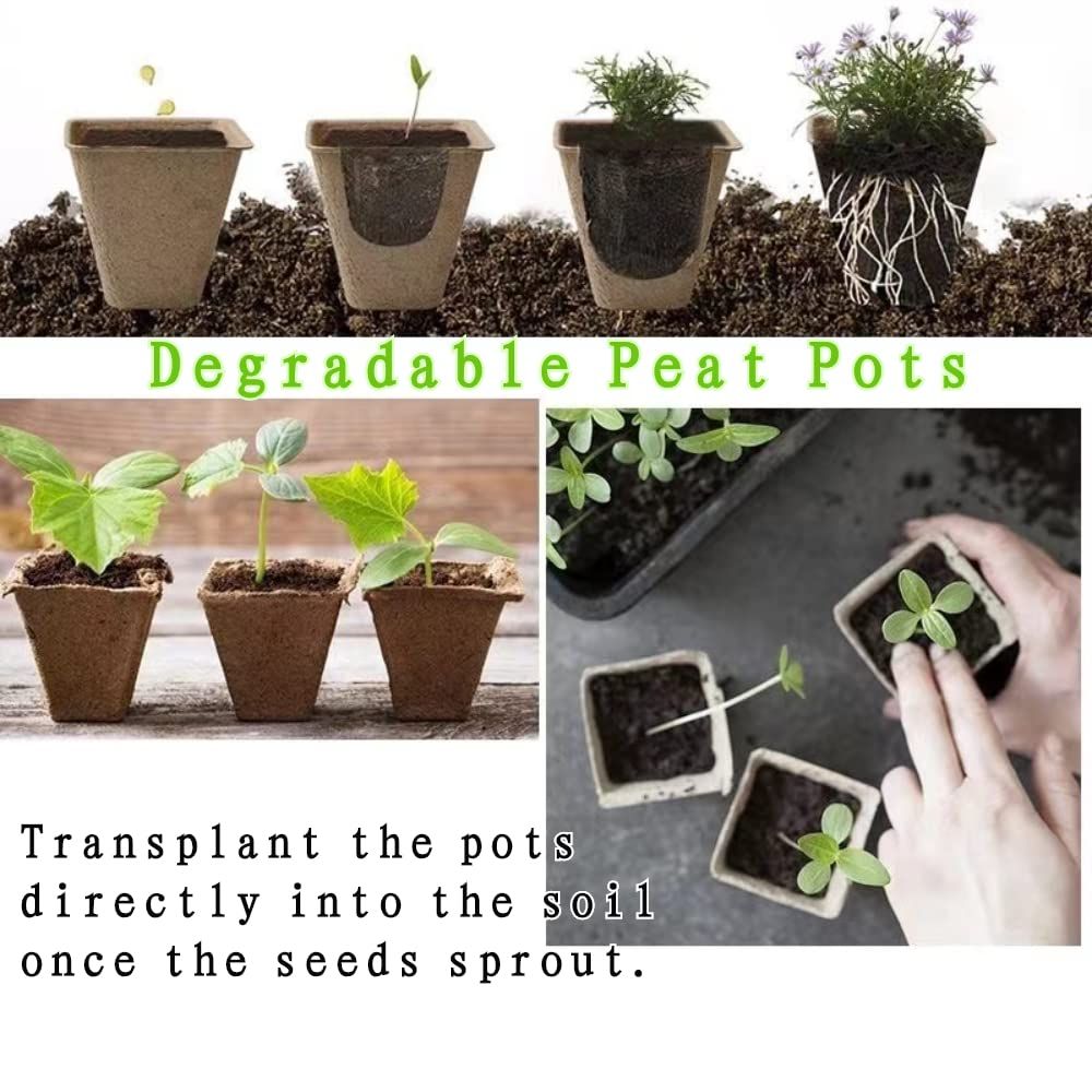 Peat Pots for Seedlings 2.4inch Plant Nursery Pots Biodegradable Seed Starter view 2