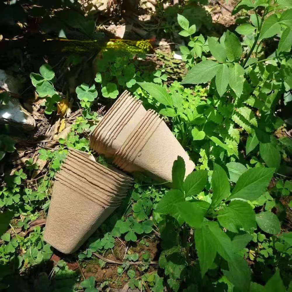 Peat Pots for Seedlings 2.4inch Plant Nursery Pots Biodegradable Seed Starter view 5