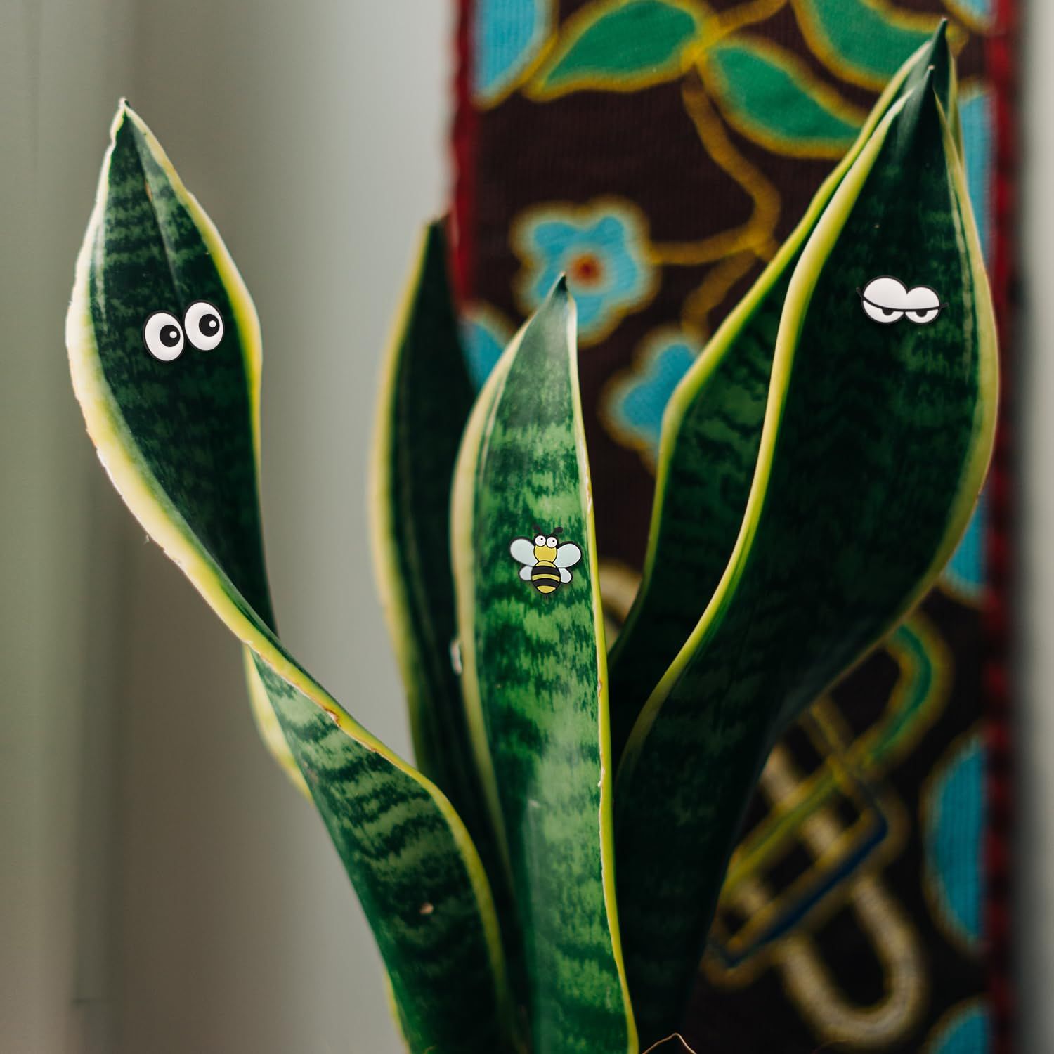 6pcs Plant Magnets Eyes for Potted Plants view 4