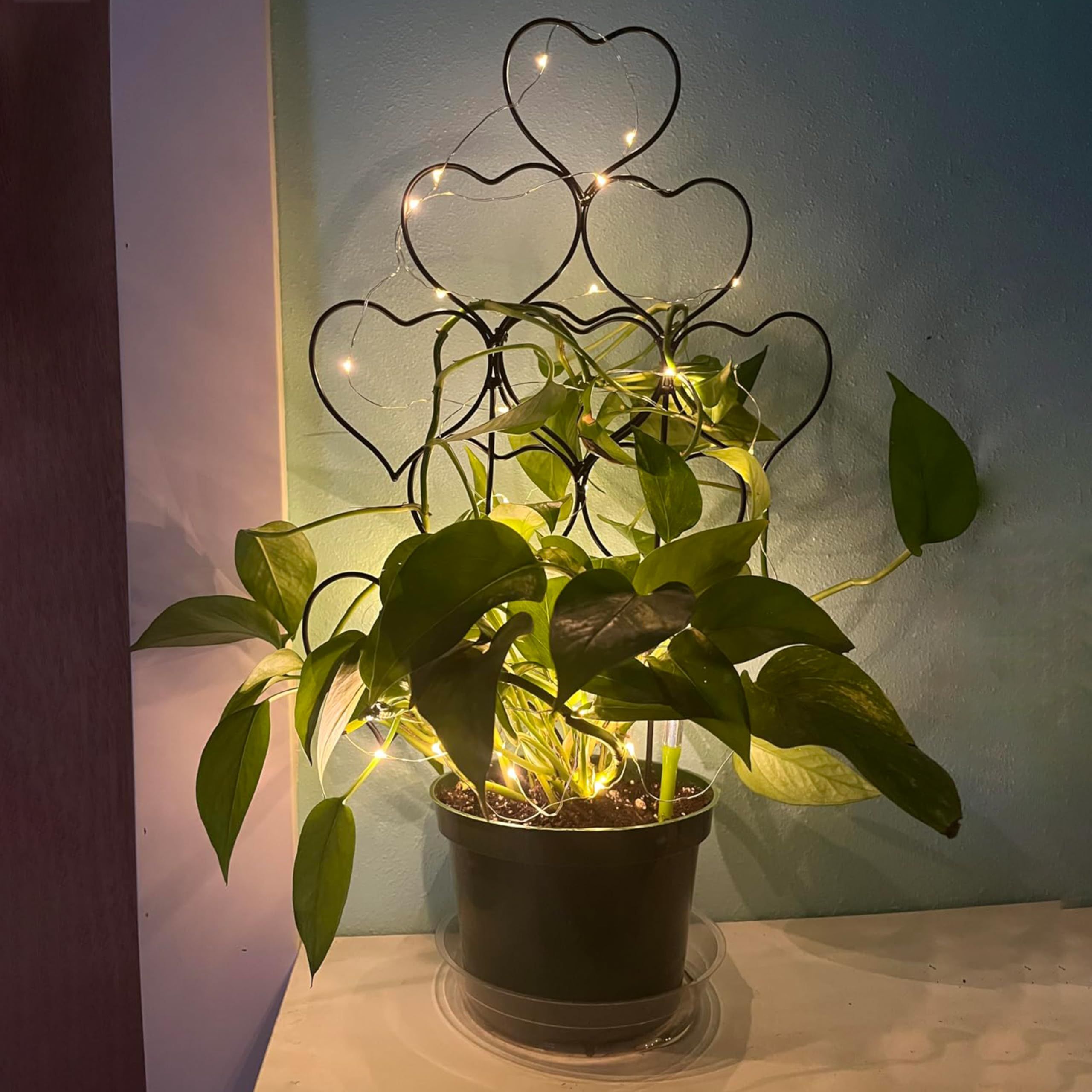 Indoor Plant Trellis for Climbing Plants view 4