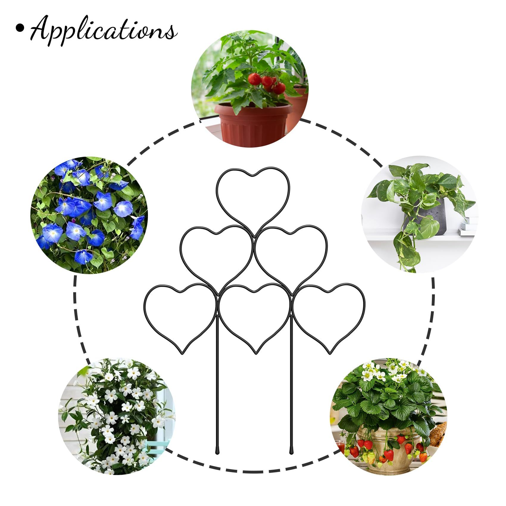 Indoor Plant Trellis for Climbing Plants view 5