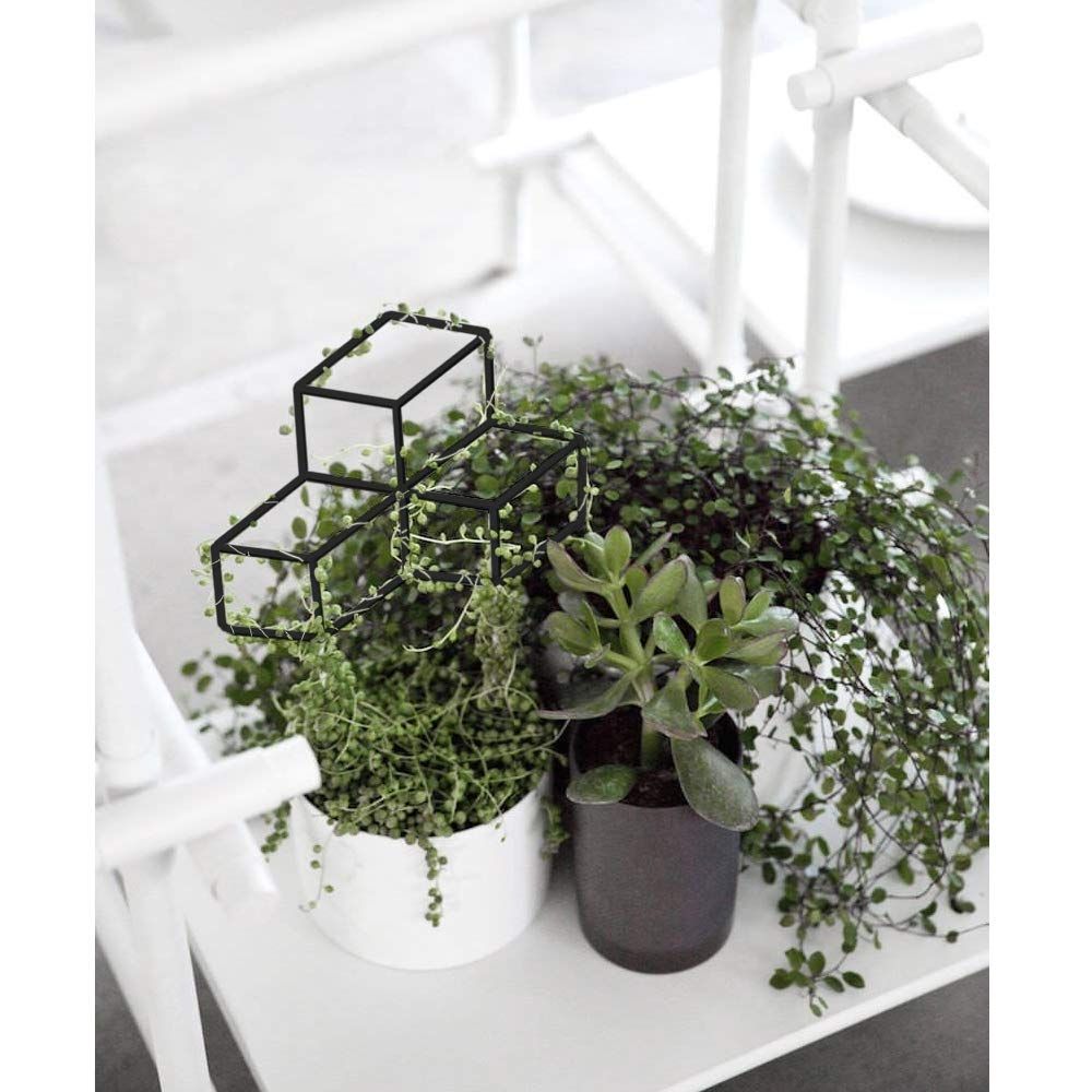 Metal Plant Trellis Indoor view 2