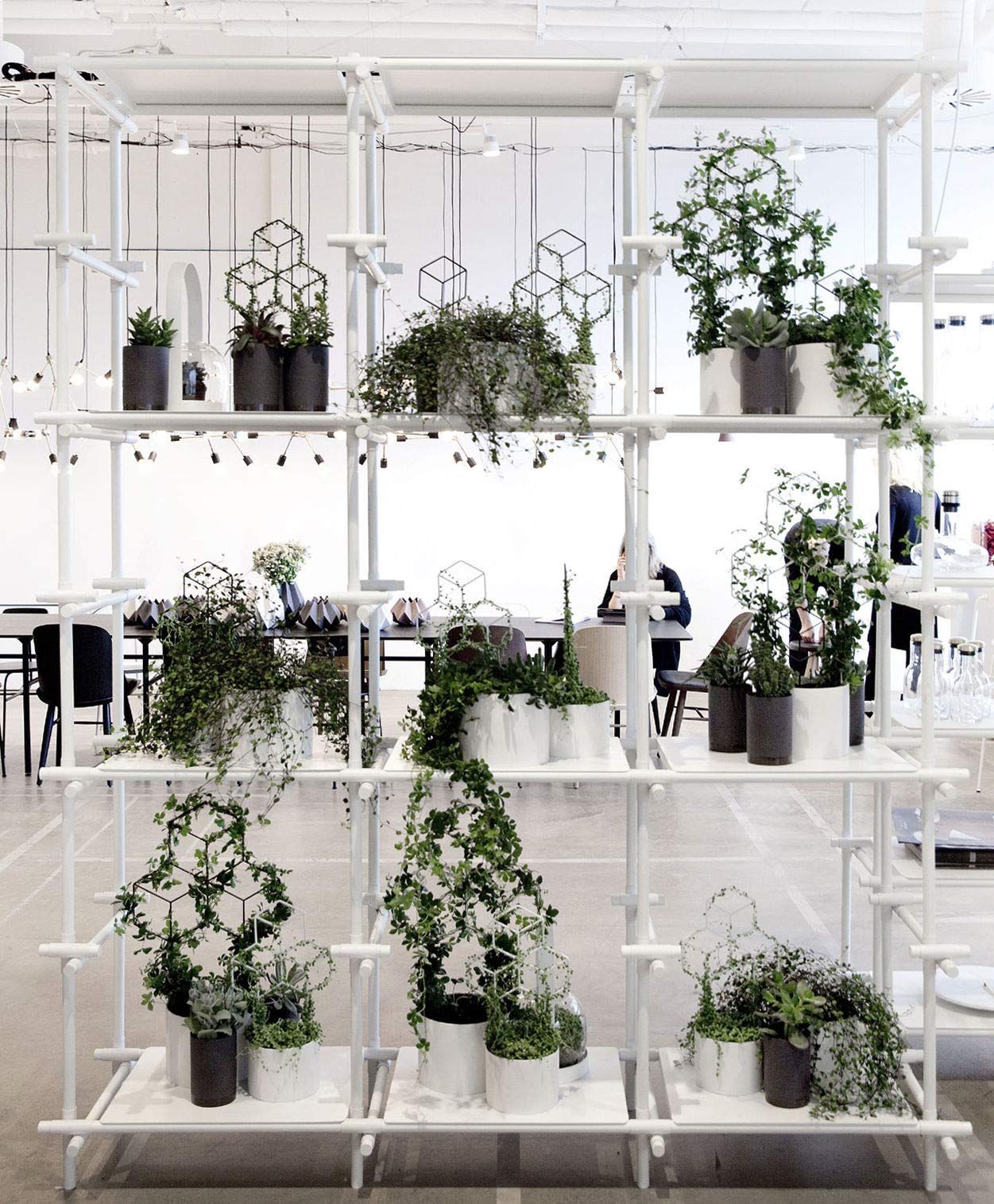 Metal Plant Trellis Indoor view 4