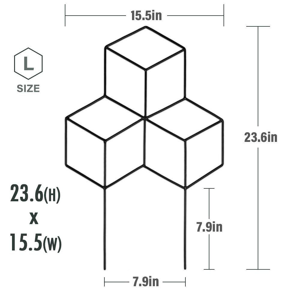 Metal Plant Trellis Indoor view 5