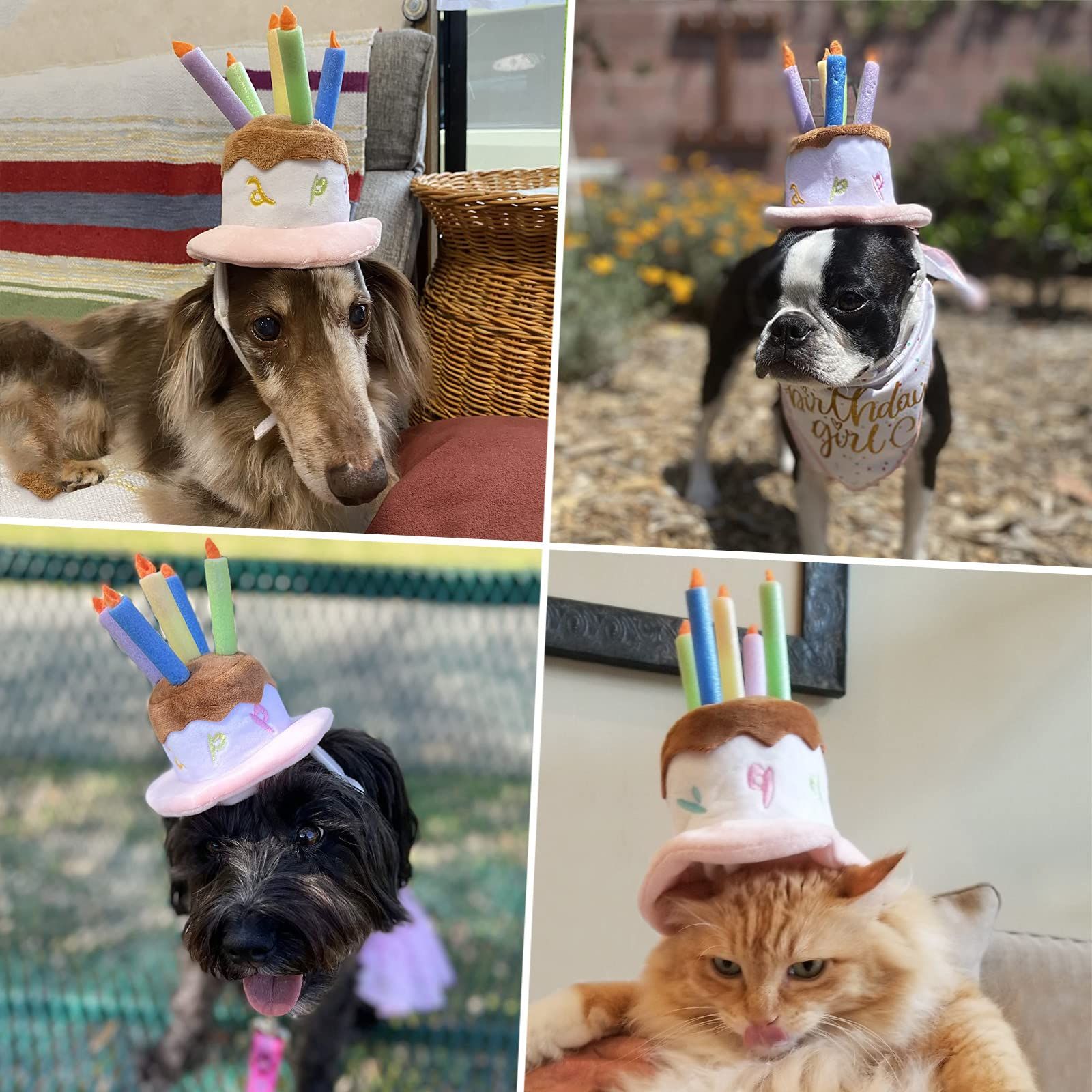 Dog Birthday Hat, Pet Birthday Cake Hat with Candle for Dog Cat Party Costume view 3