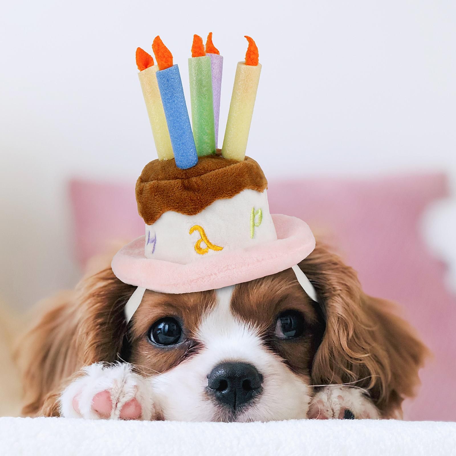 Dog Birthday Hat, Pet Birthday Cake Hat with Candle for Dog Cat Party Costume view 4