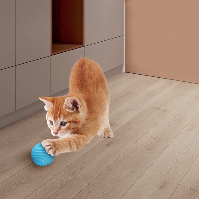 Pet's Cat Toy Ball,Cat Toy,Magic Rolling and Sound Ball for Indoor Playing view 4