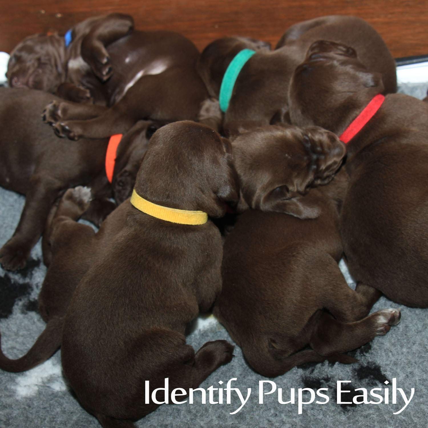15 Colors Puppy ID Collars Whelping Dog Band Newborn Soft Fabric Adjustable view 5