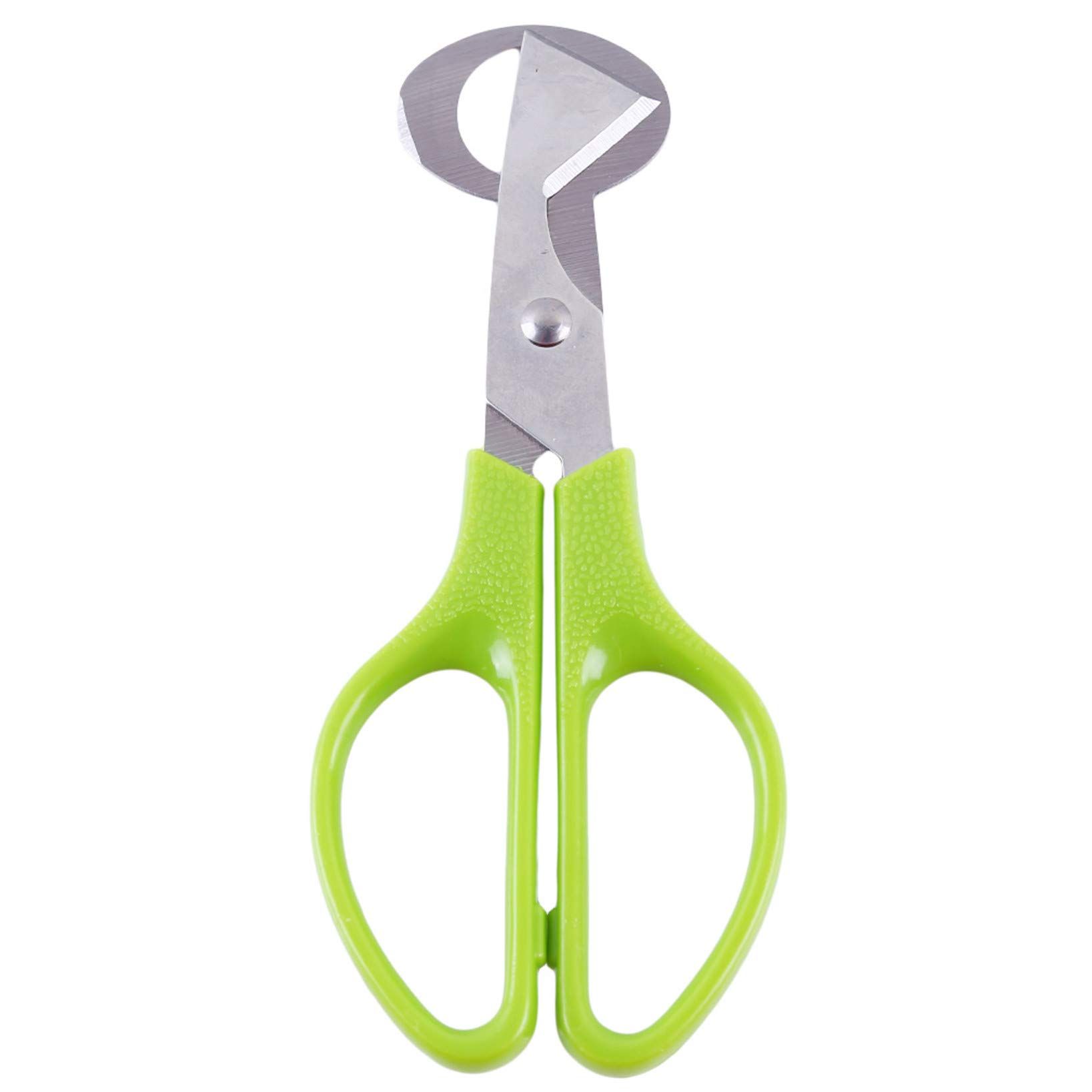 Pigeon Bird Quail Egg Cutter Tool Quail Egg Scissors Opener Cracker Stainless