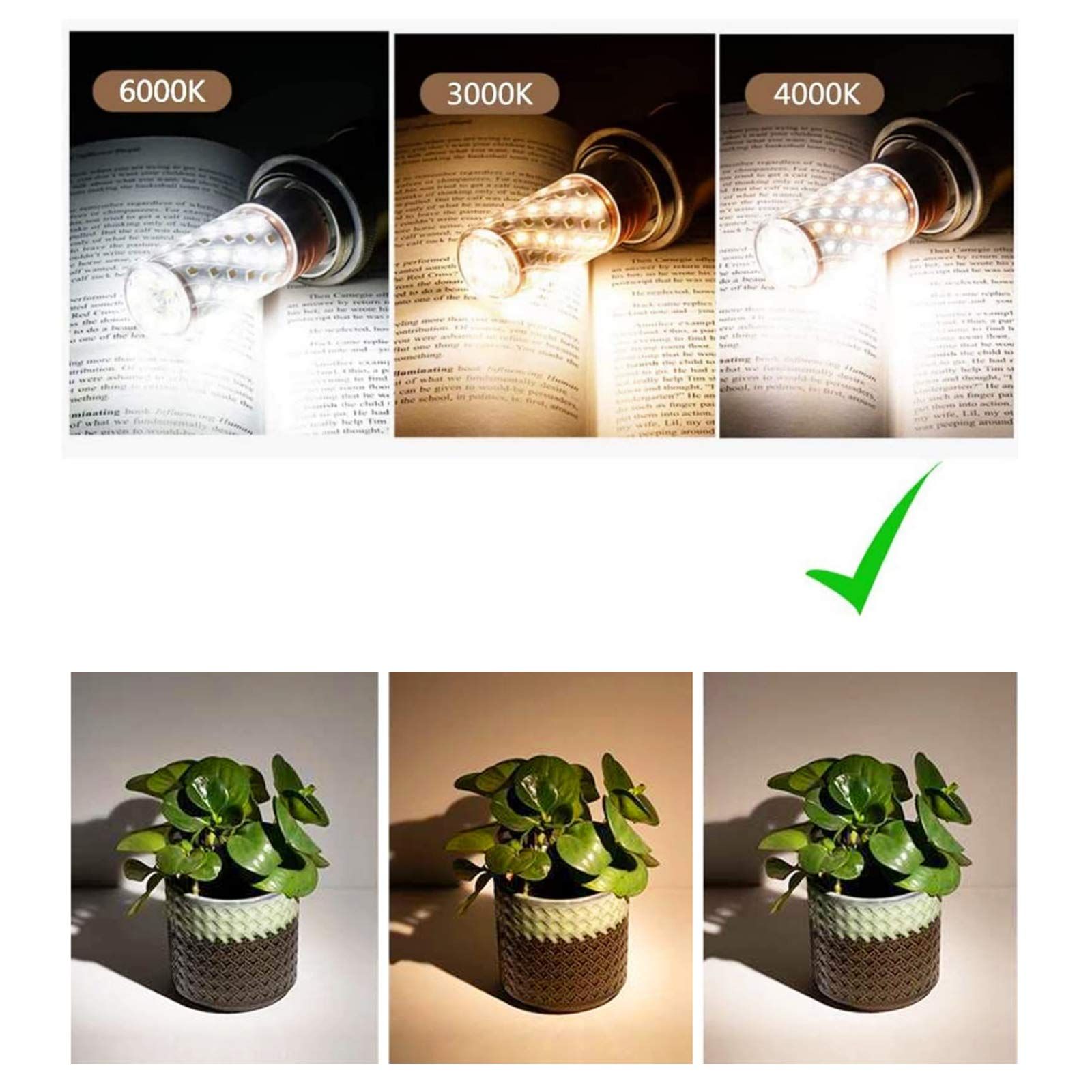 E14 LED Corn Bulbs 4000K view 3
