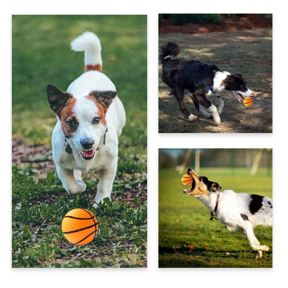 Pet Training Chewing Sound Ball Squeaky Playing Ball Toy Dog Puppy Training view 5
