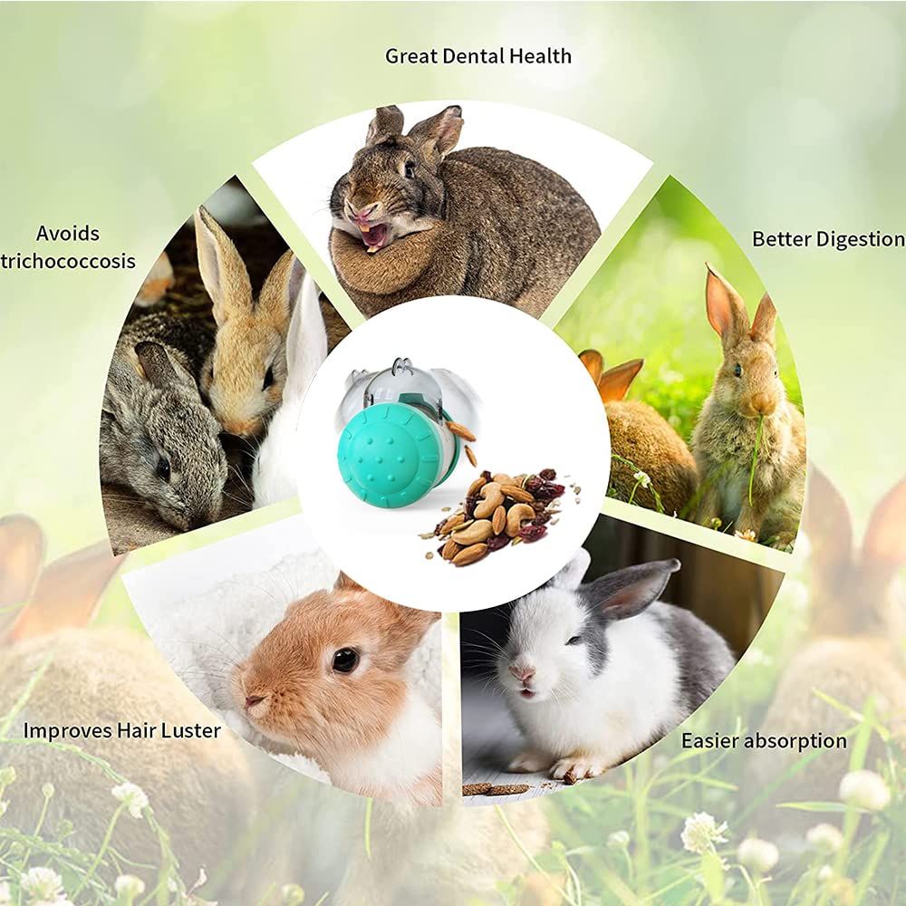 Interactive Treat Ball for Rabbits view 2
